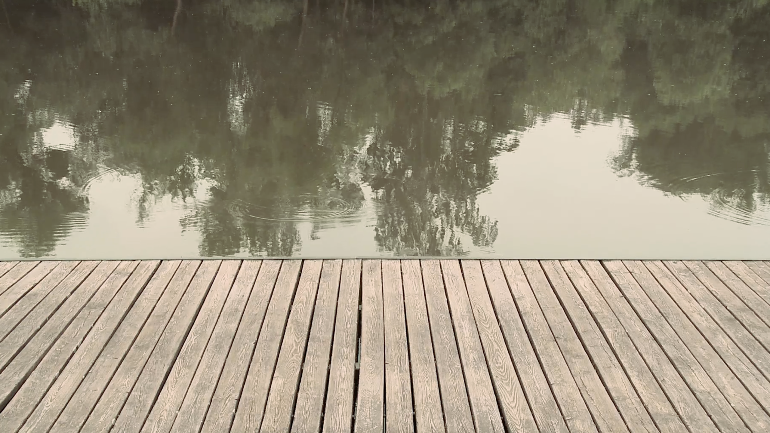 Structural constellations. Mascha Danzis contemporary video and media artist