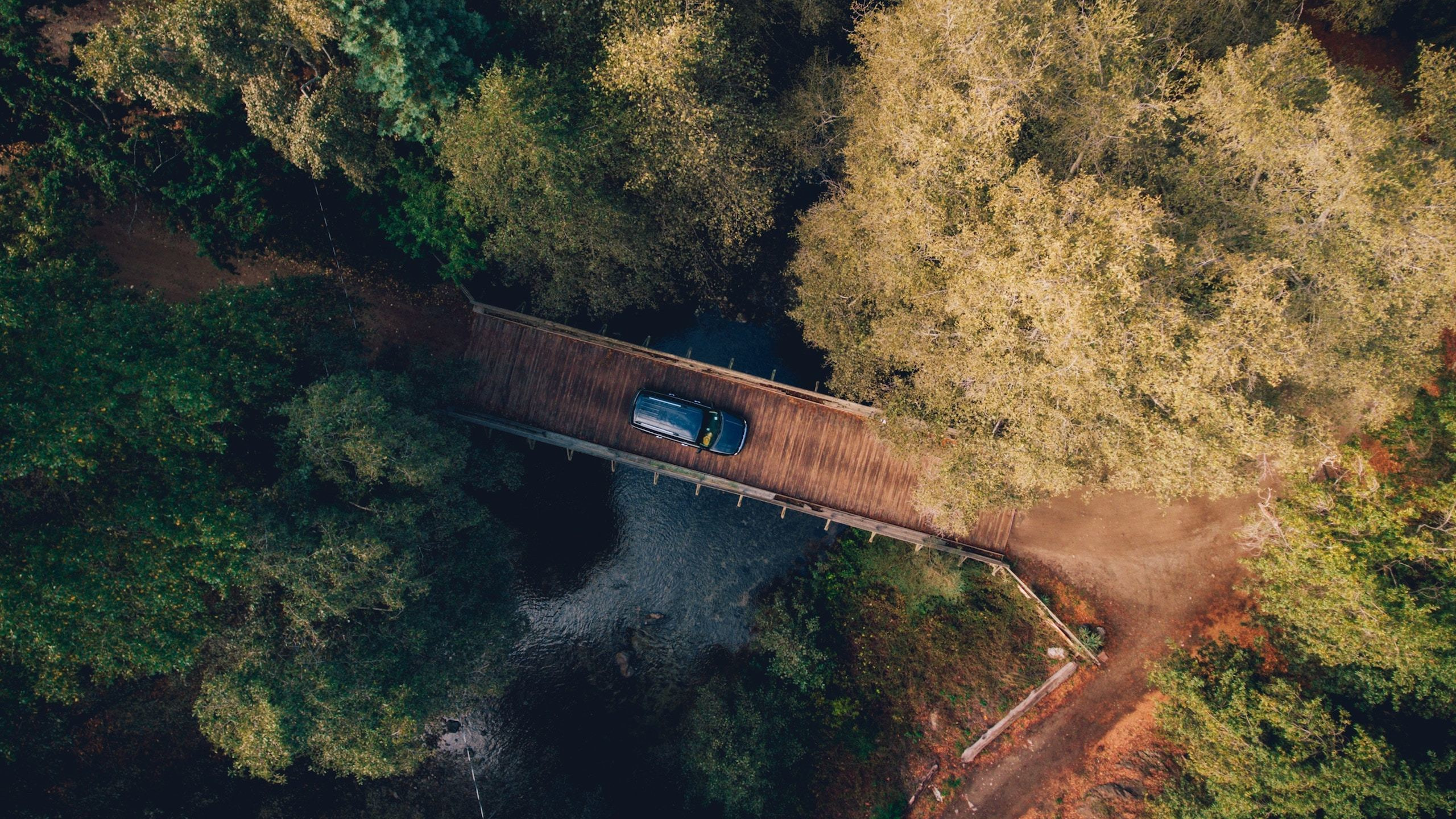 Контакты. Репортажный фотограф Света Асадчая