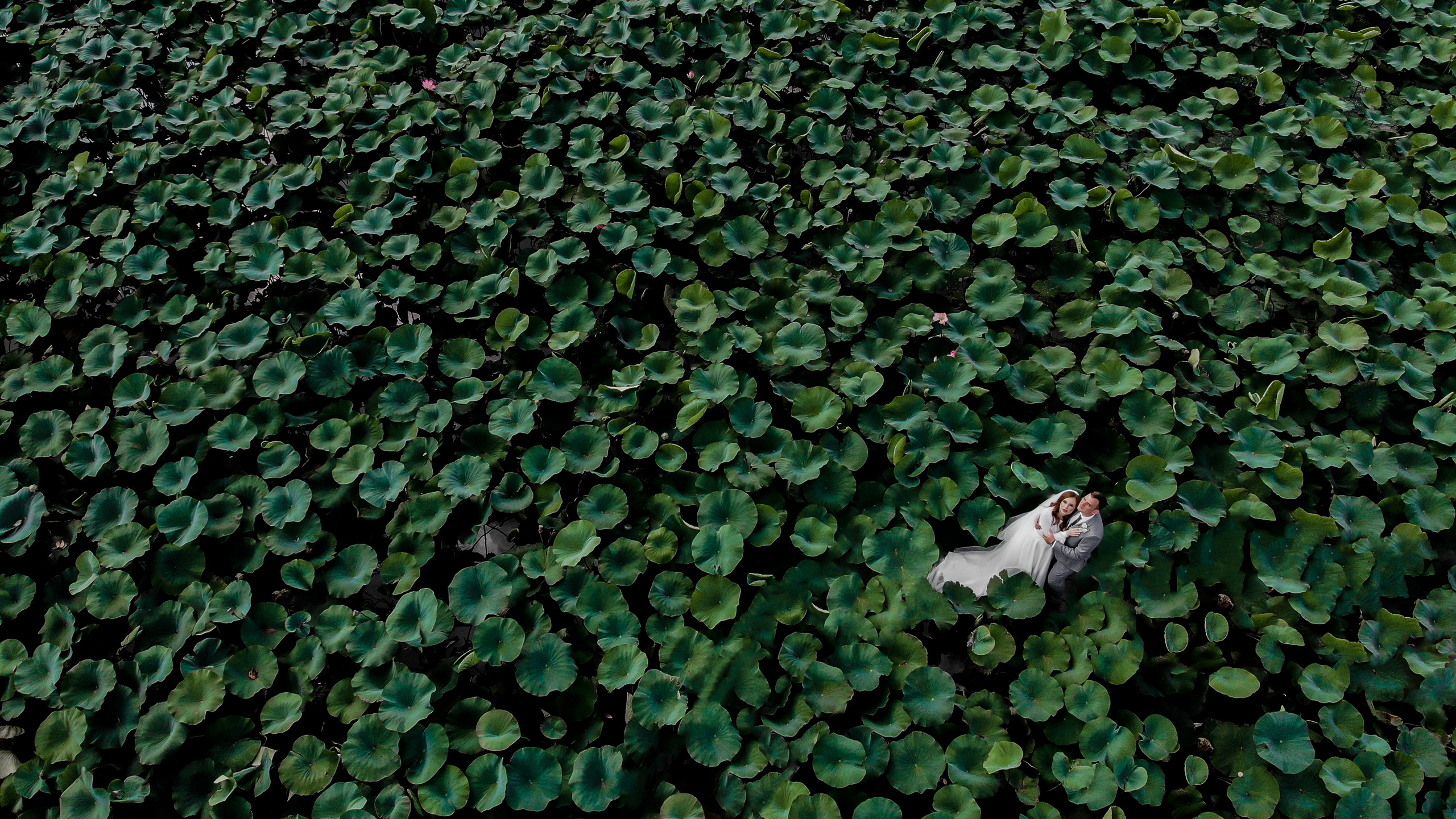 Сколько стоит. Свадебный и семейный фотограф  в г.Краснодар