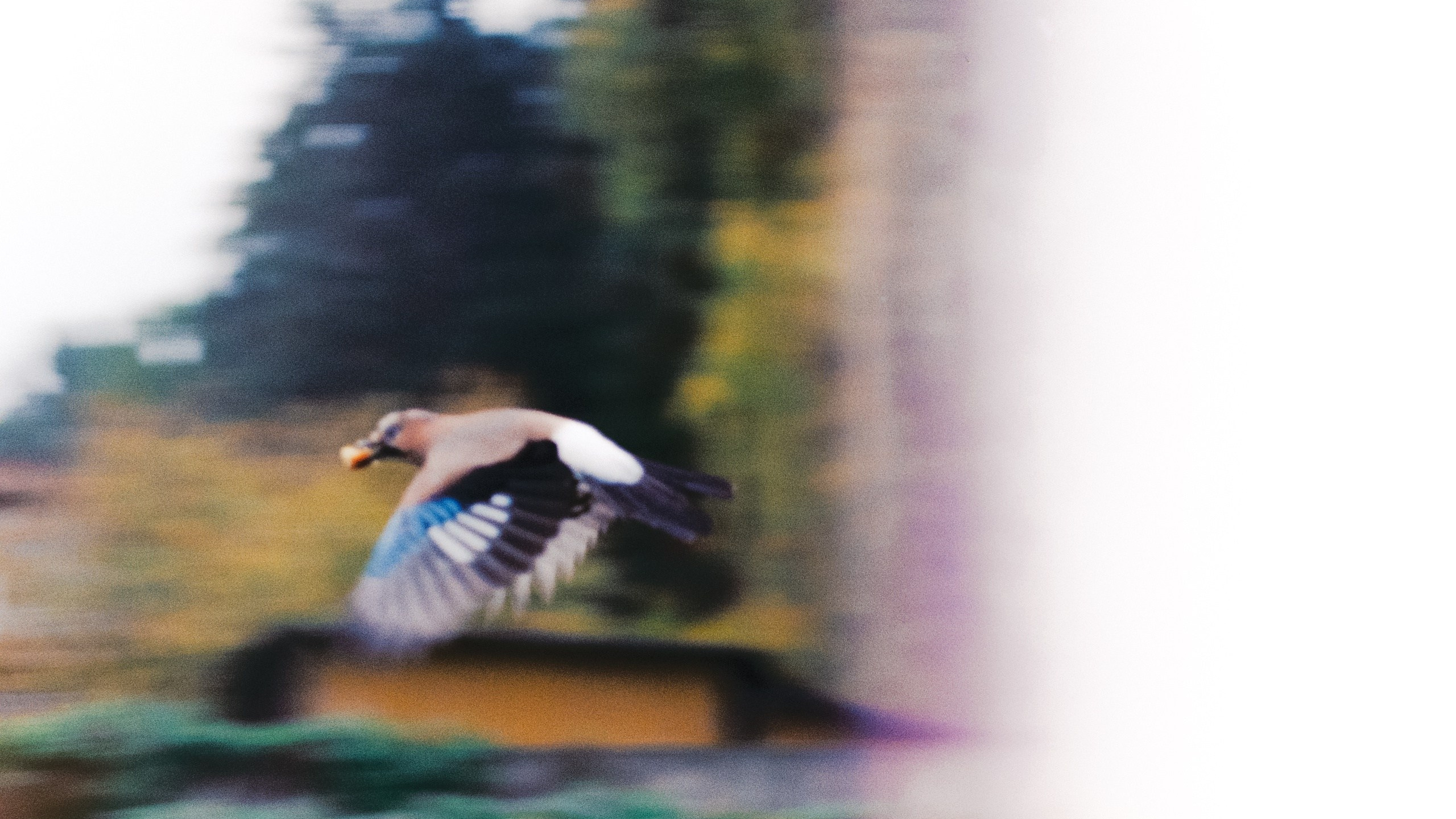 Первые кадры на пленку. Фотограф из Москвы — DASHA NOVA | Авторская фотография в разных жанрах