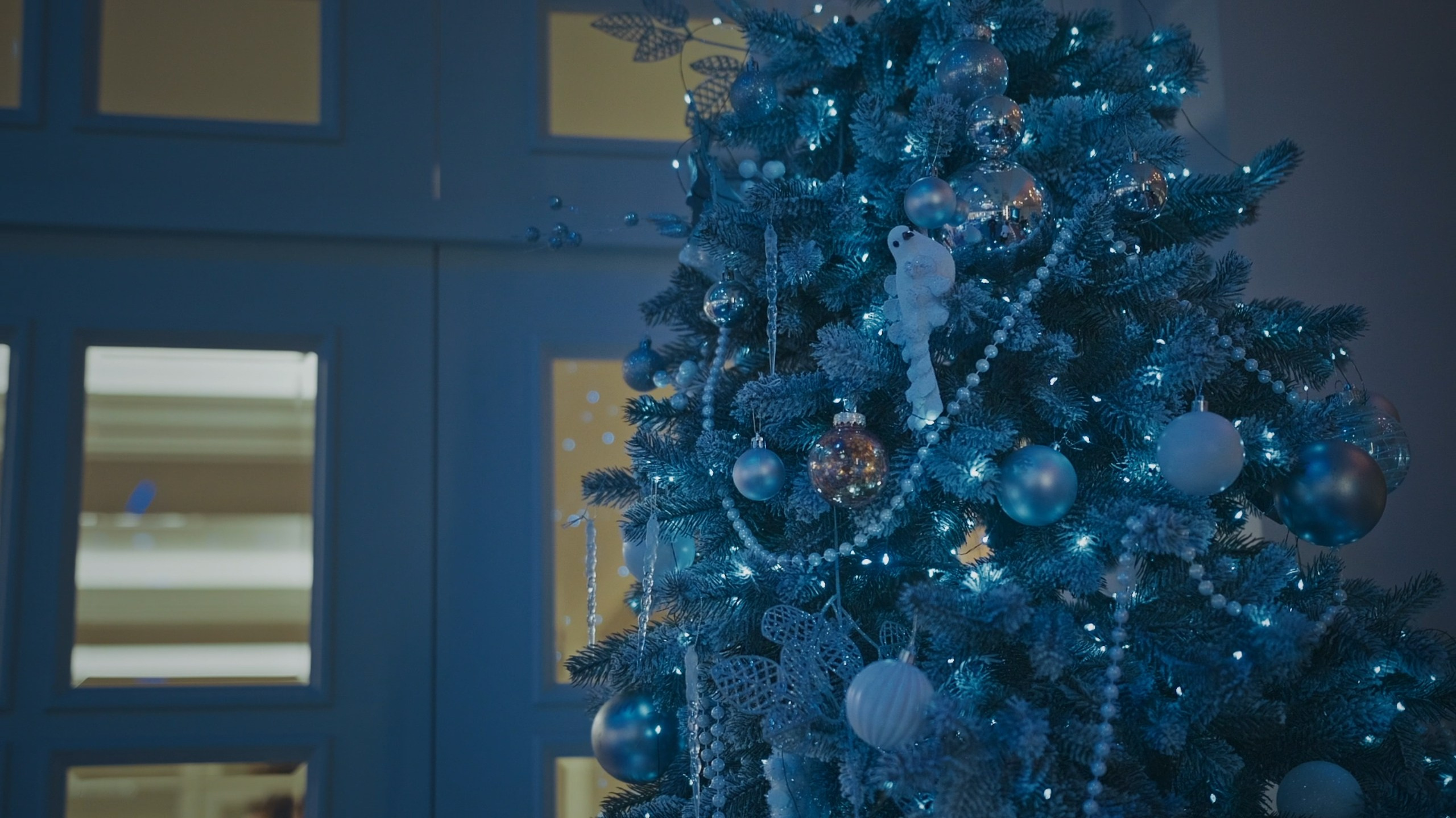 Видеограф в Красноярске Тимофей Петров