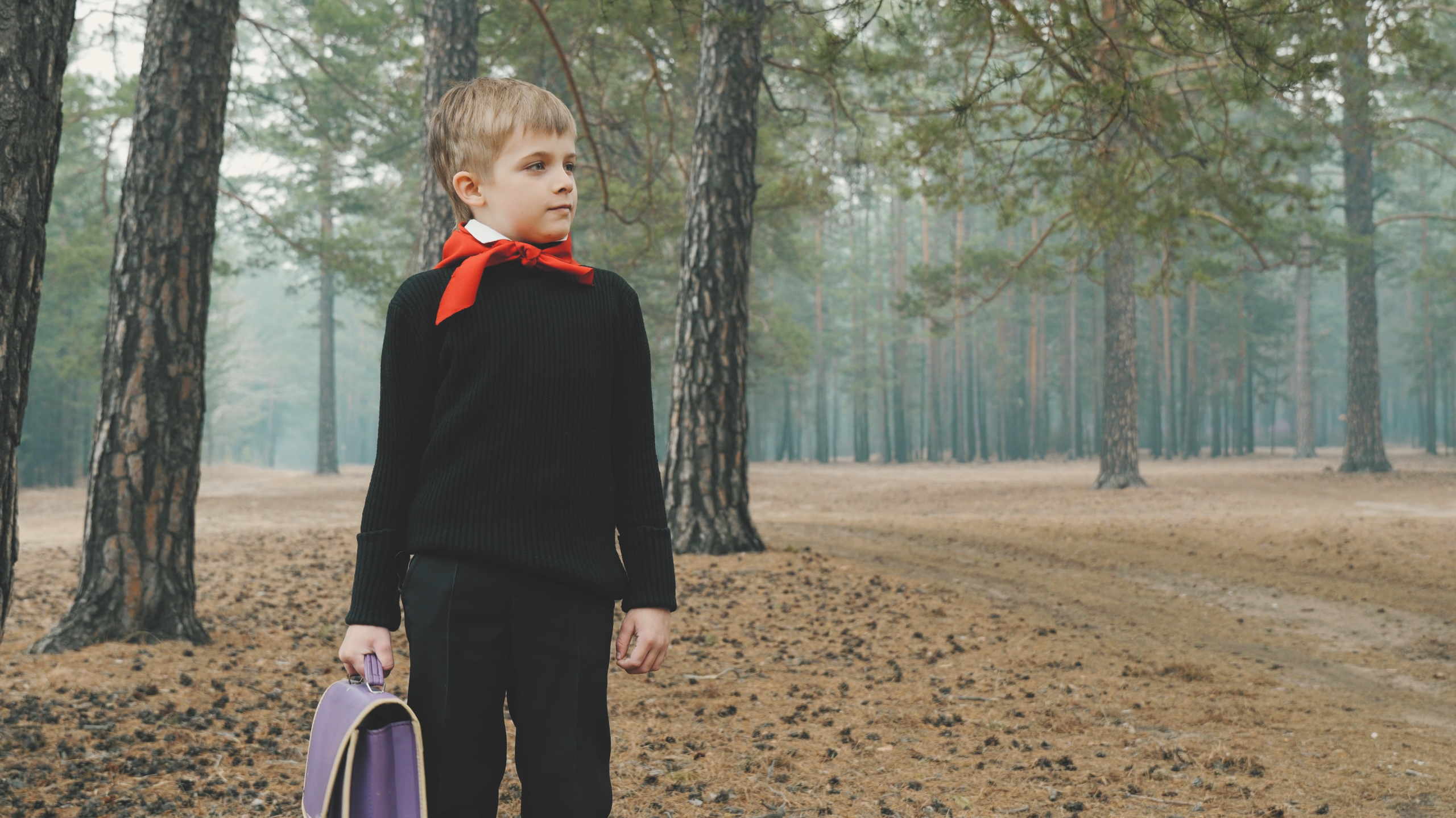 Школа, школа я скучаю…. Вячеслав Раздобреев Свадебный Видеограф Чита