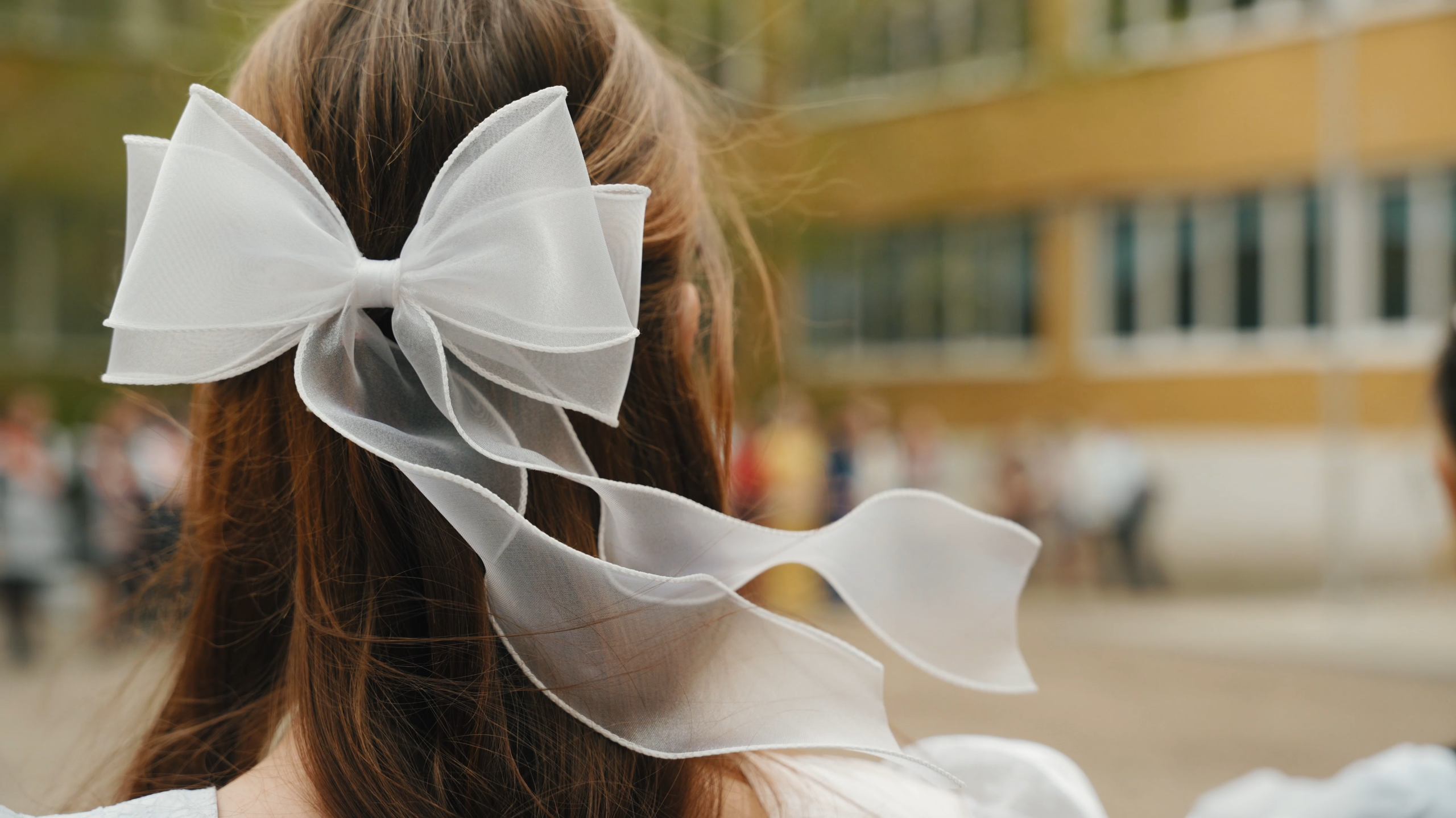 Школа, школа я скучаю…. Вячеслав Раздобреев Свадебный Видеограф Чита