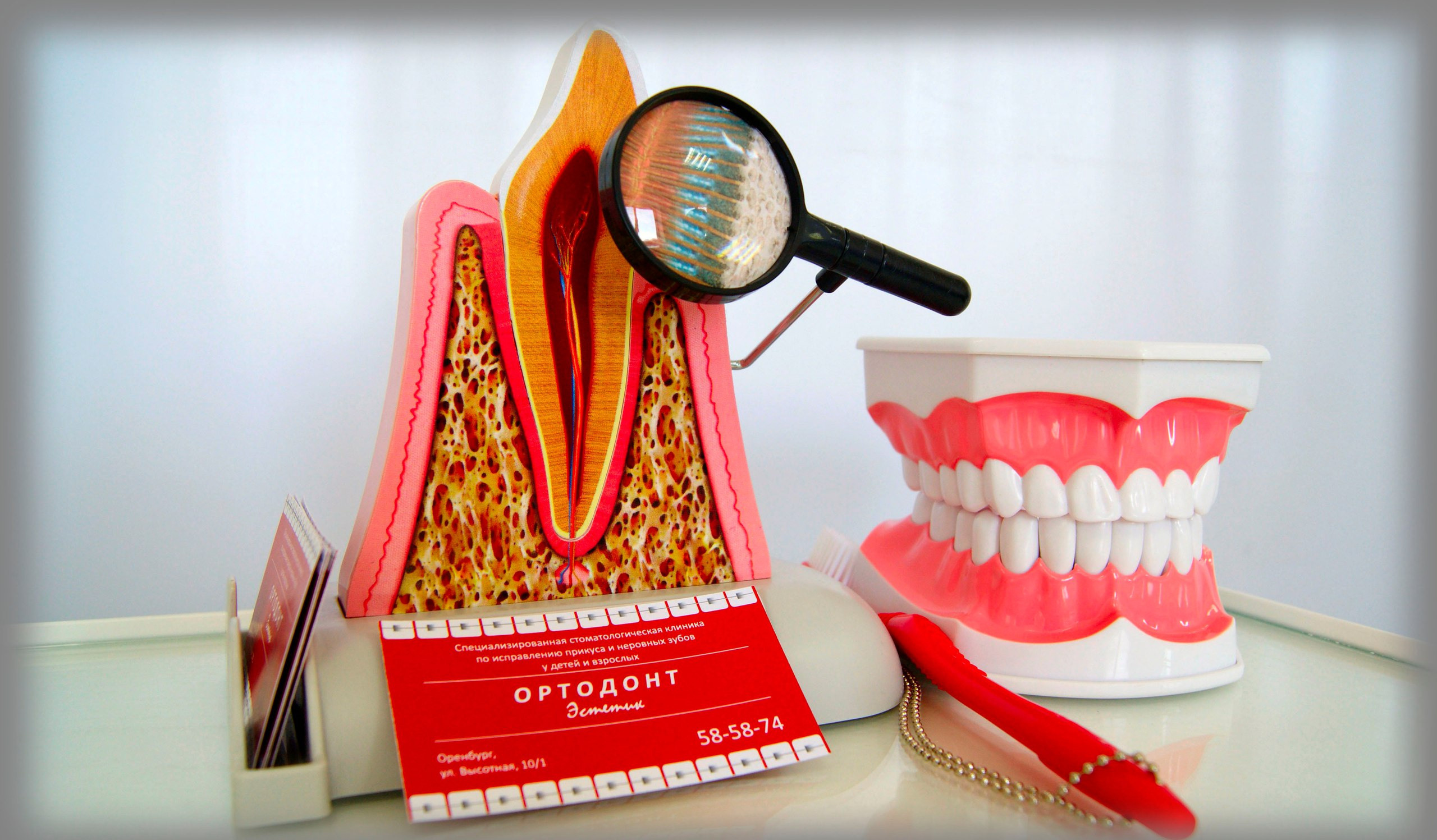 Блог врача. Стоматология «Ортодонт-Эстетик». Установка брекетов в Оренбурге, взрос