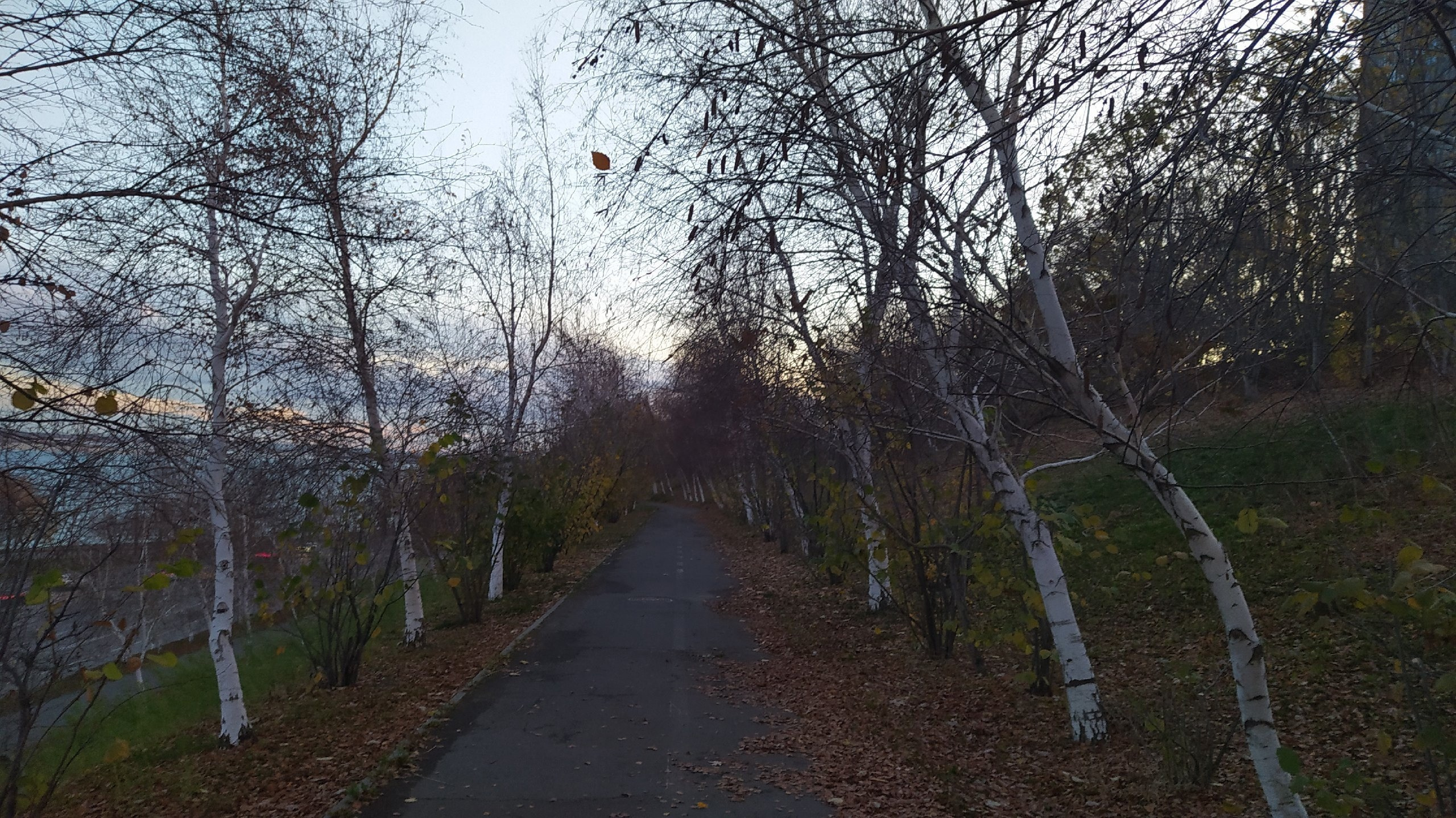 Читальный зал. Марина Рыбкина — Глубинная психология