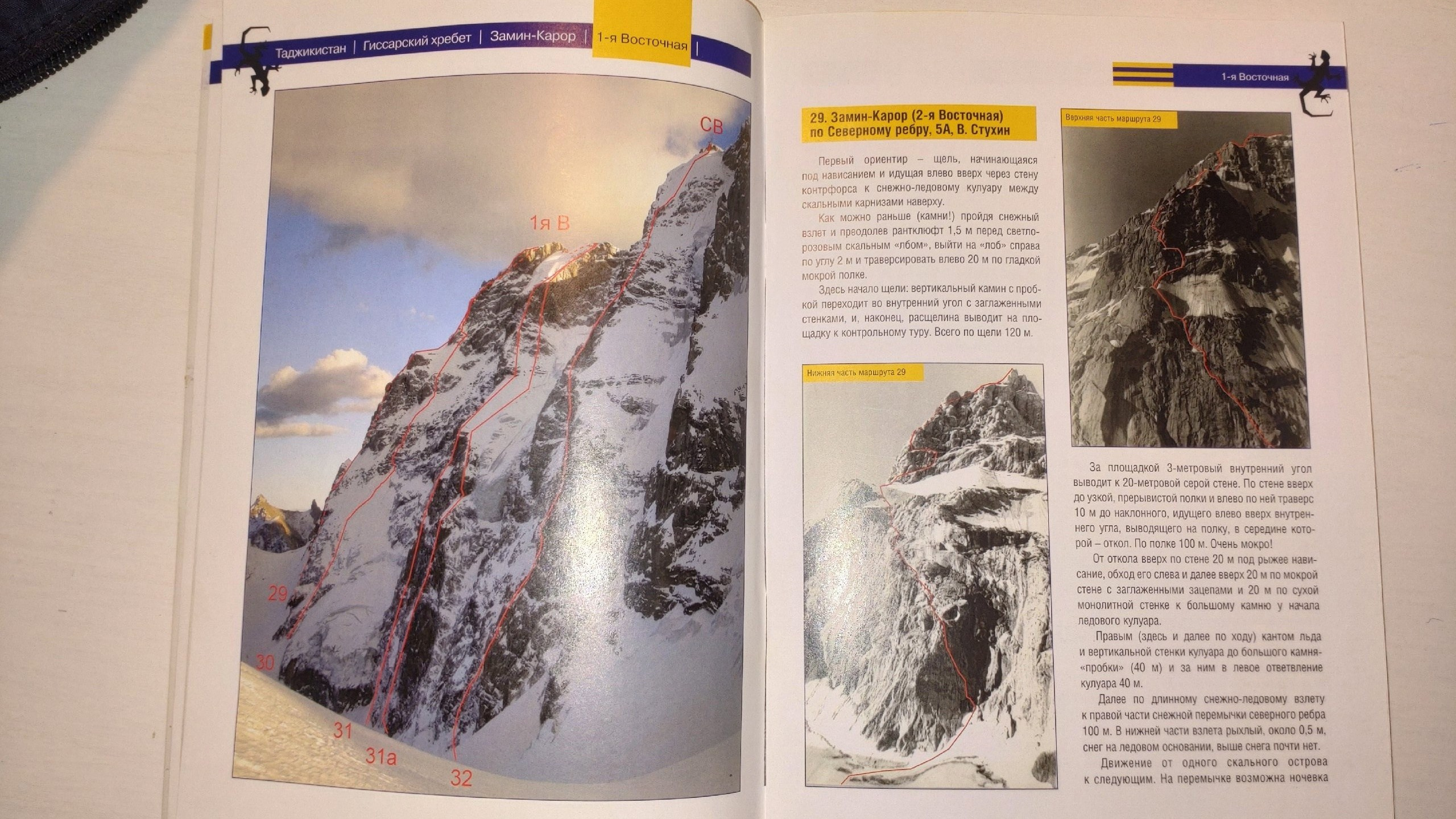 Оксана, мне так страшно, что неделю уже живот крутит. Премия Стальной Ангел