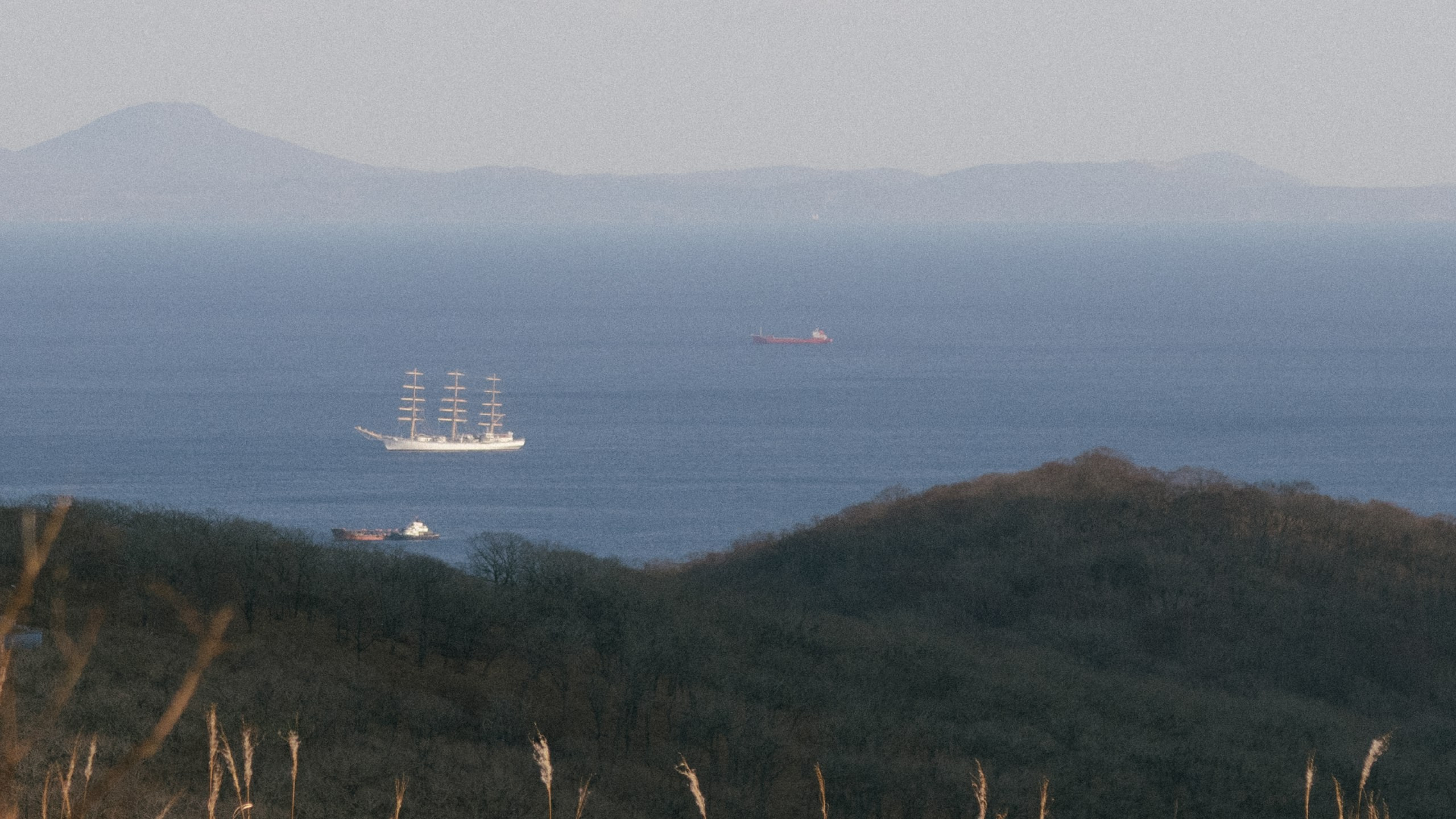 Услуги. Индивидуальный и репортажный фотограф во Владивостоке