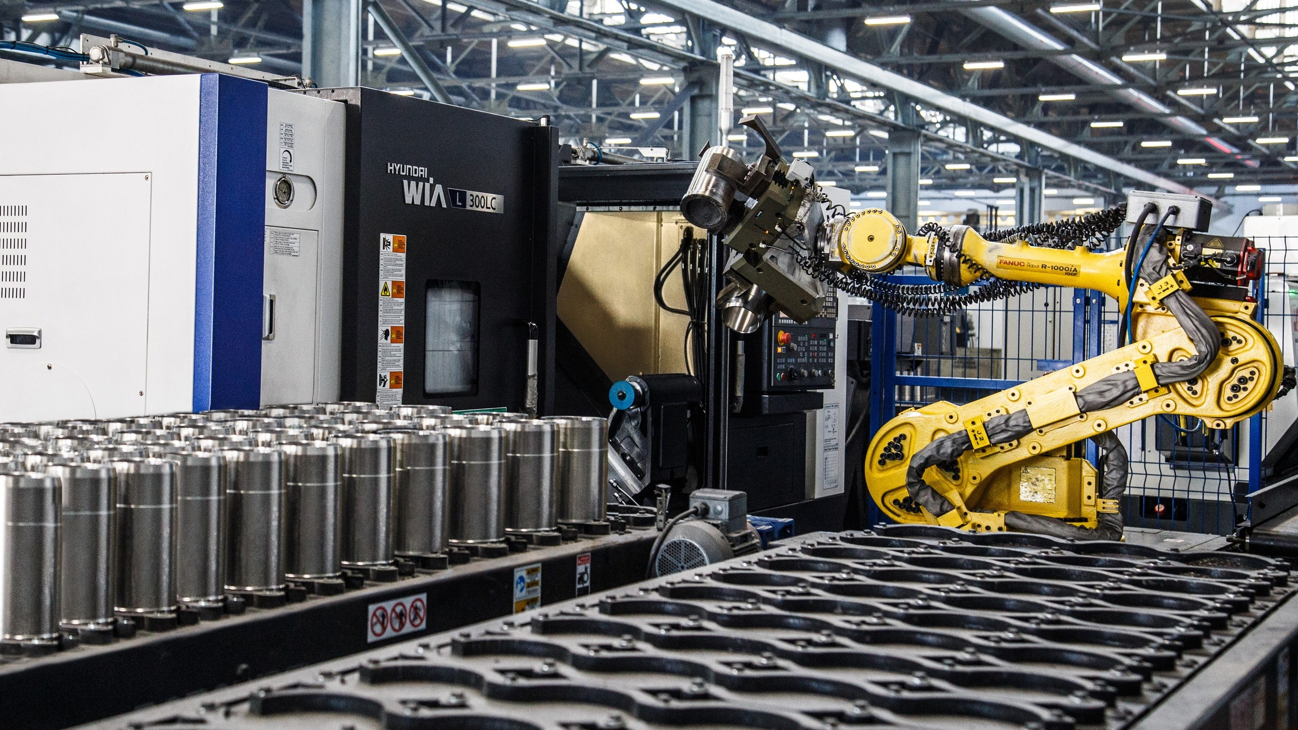 ВИДЕО. АЛЕКСАНДР ФОКС