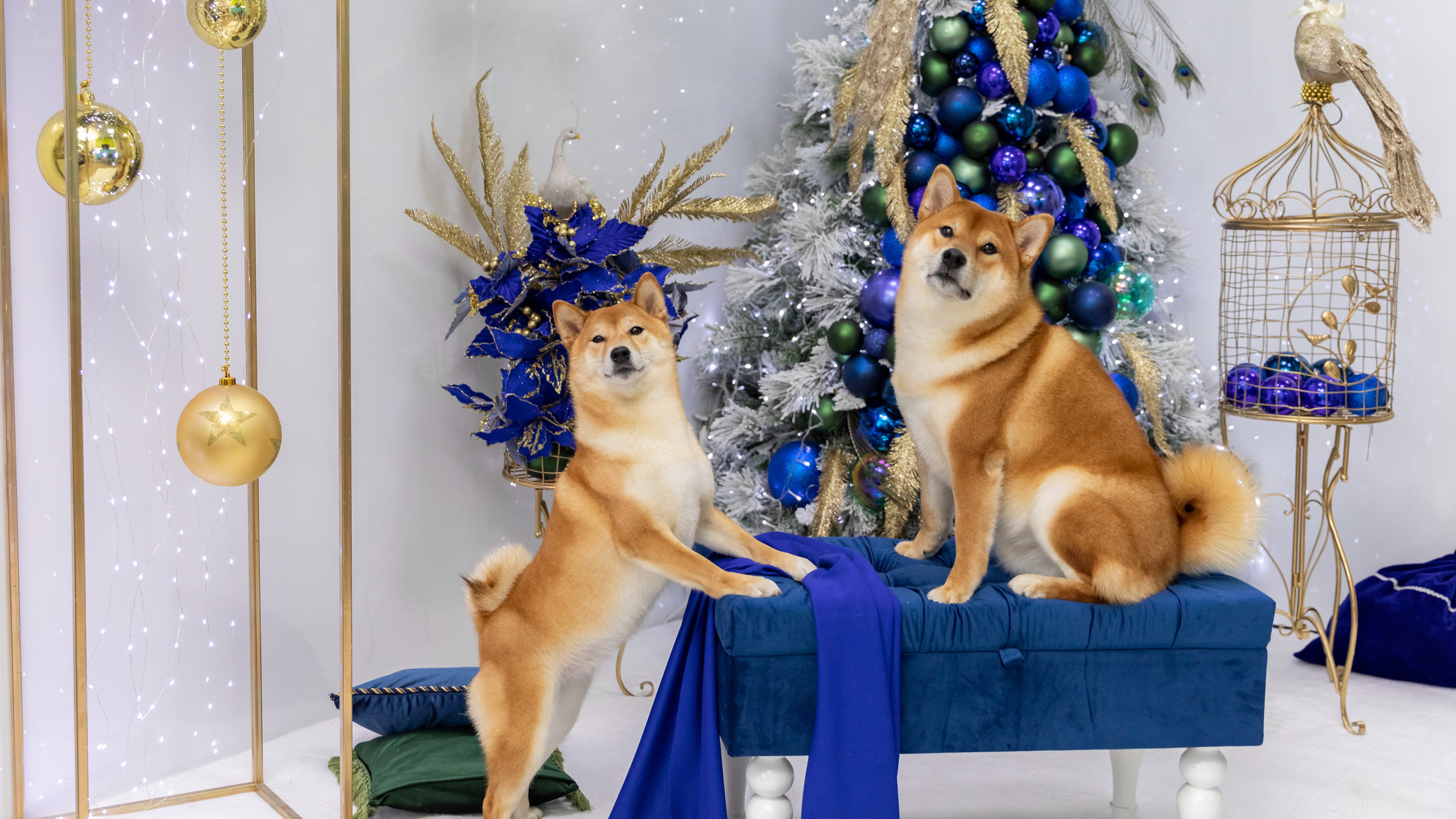 ГРУММ ФОТОСЕС ПРАЙС