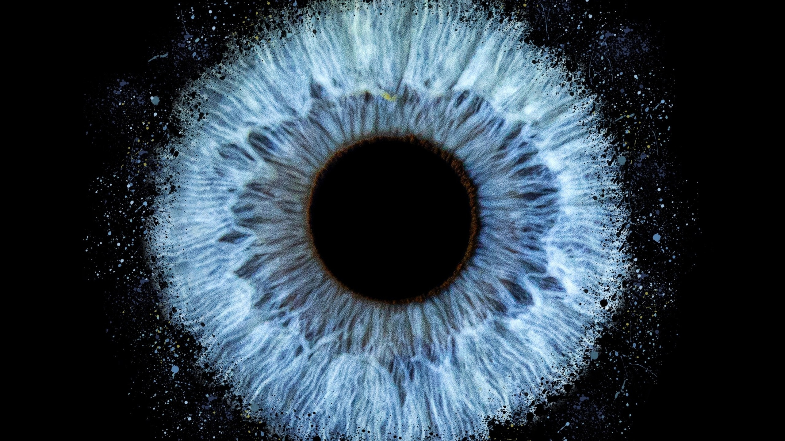 Ваши вопросы. EYEtob | Фотография радужной оболочки | Тобольск