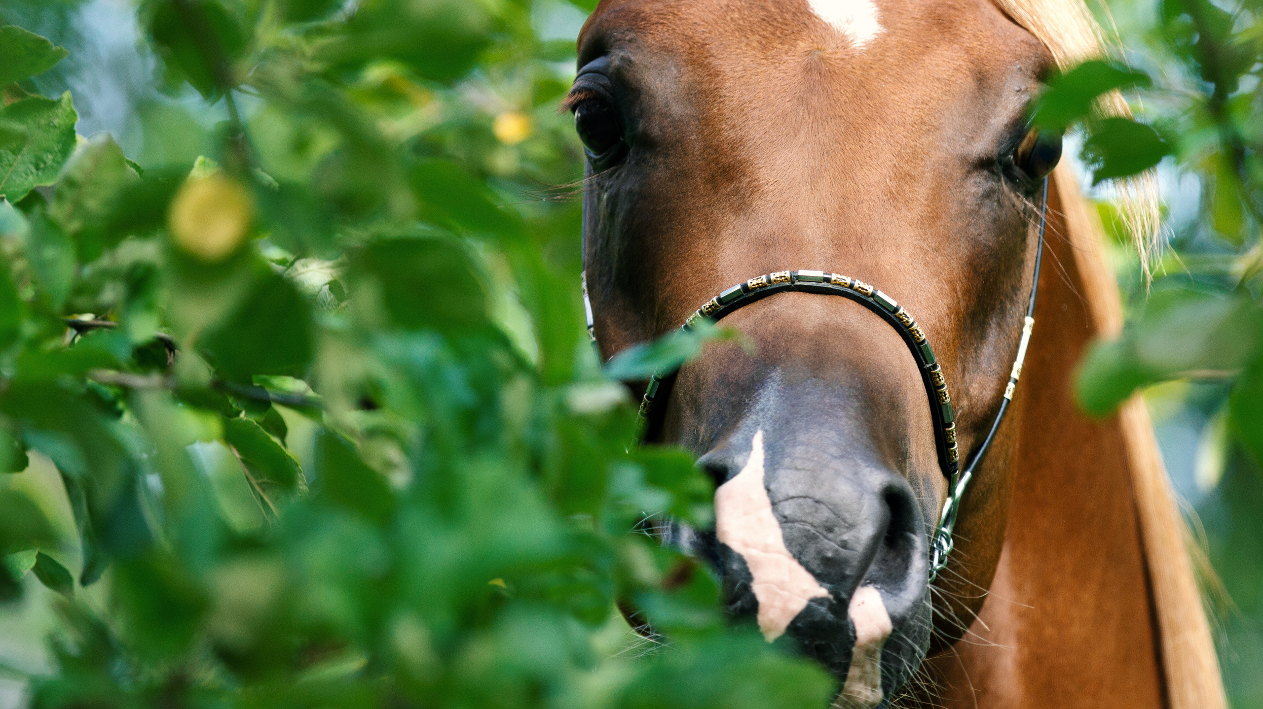 Фотограф в Москве Дудкова Юлия