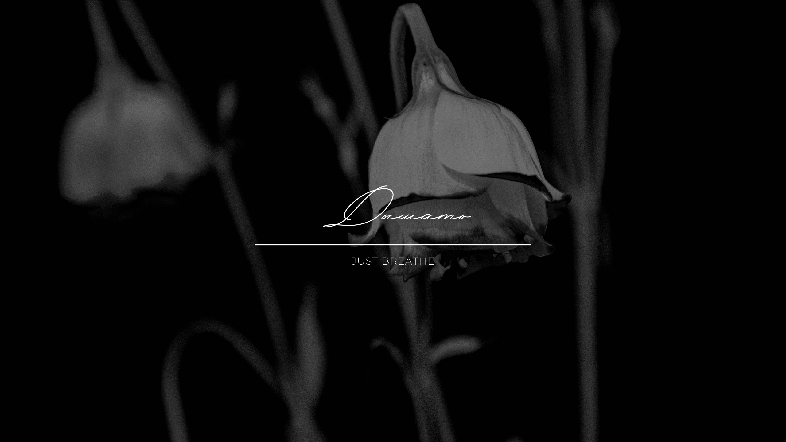 My Music. RIA