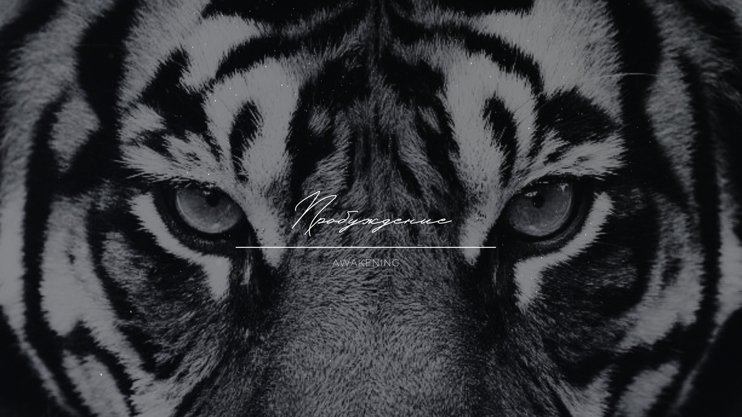 My Music. RIA