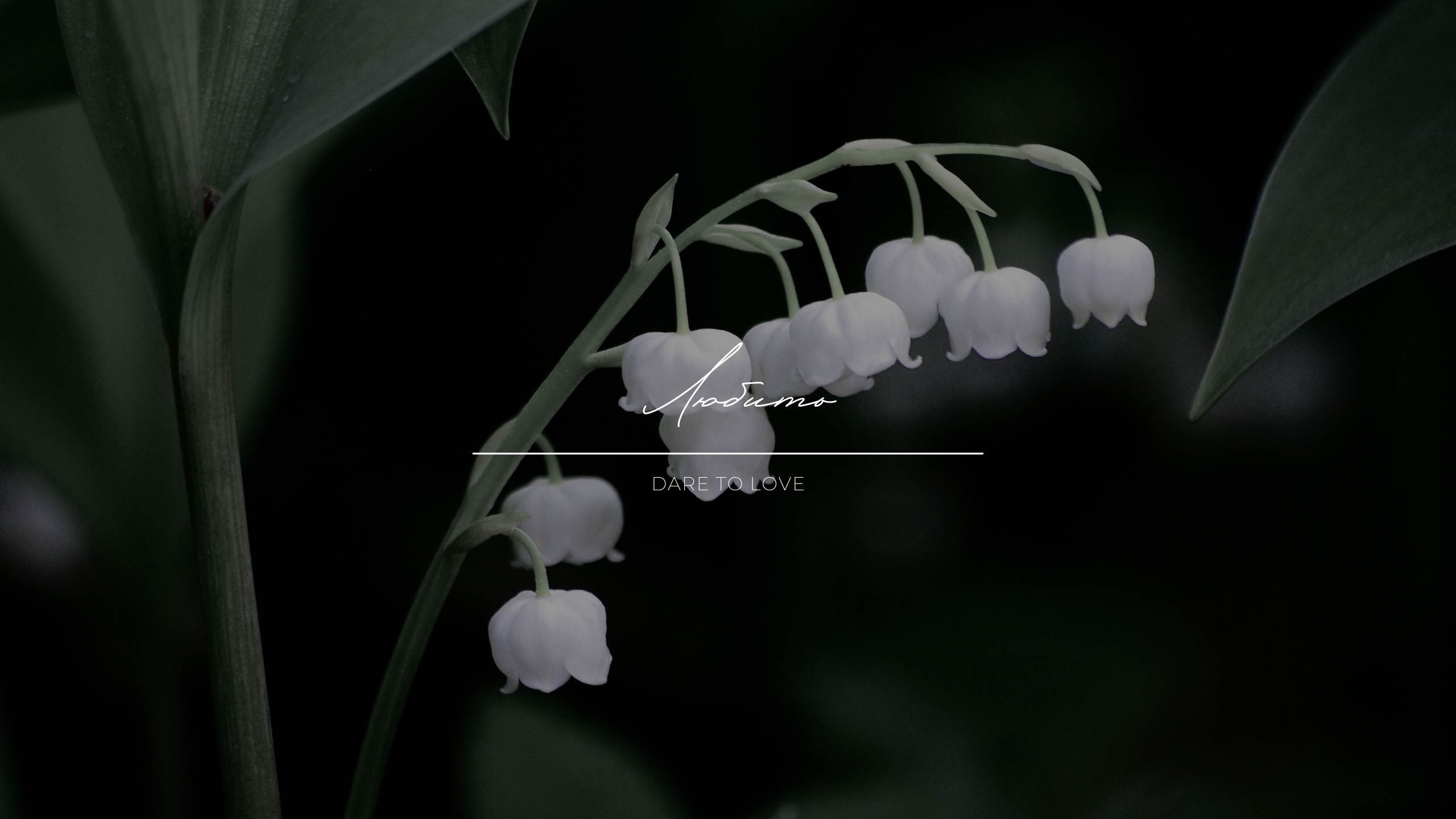 My Music. RIA