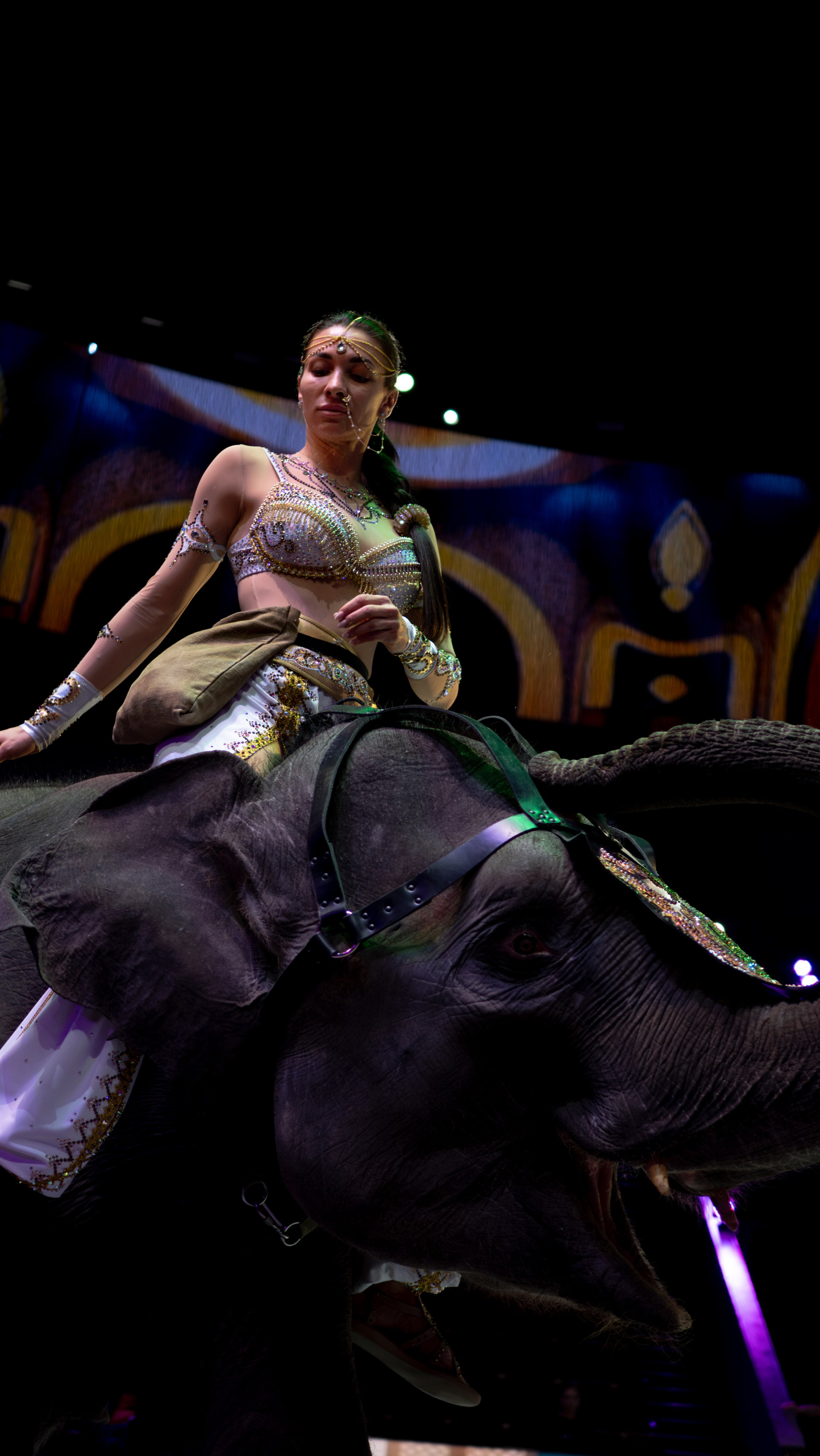 Услуги. Фотограф/видеограф Москва — Кирилл Капустин