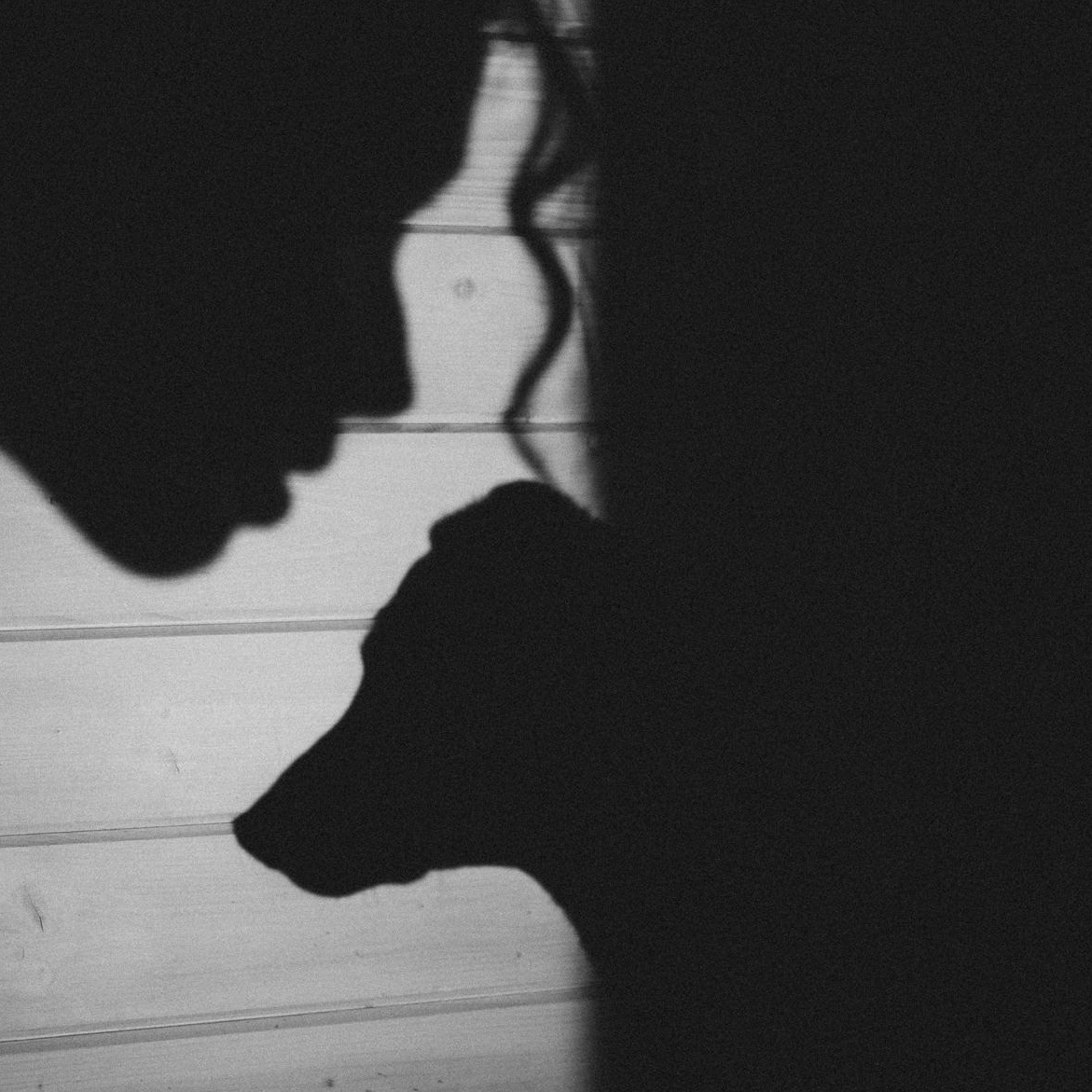 Pricing and Booking (1). Photos of you and your pet