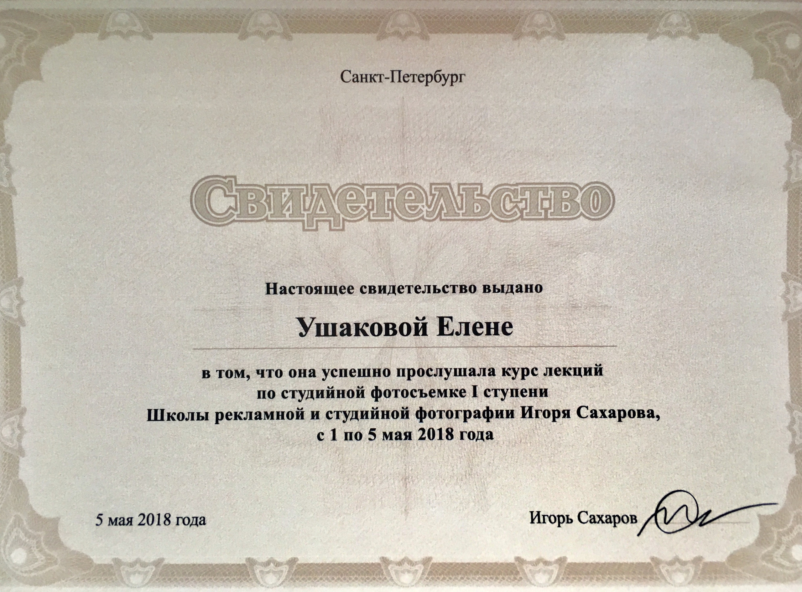 Образование и достижения. Событийный фотограф в Санкт — Петербурге Elena Ushakova