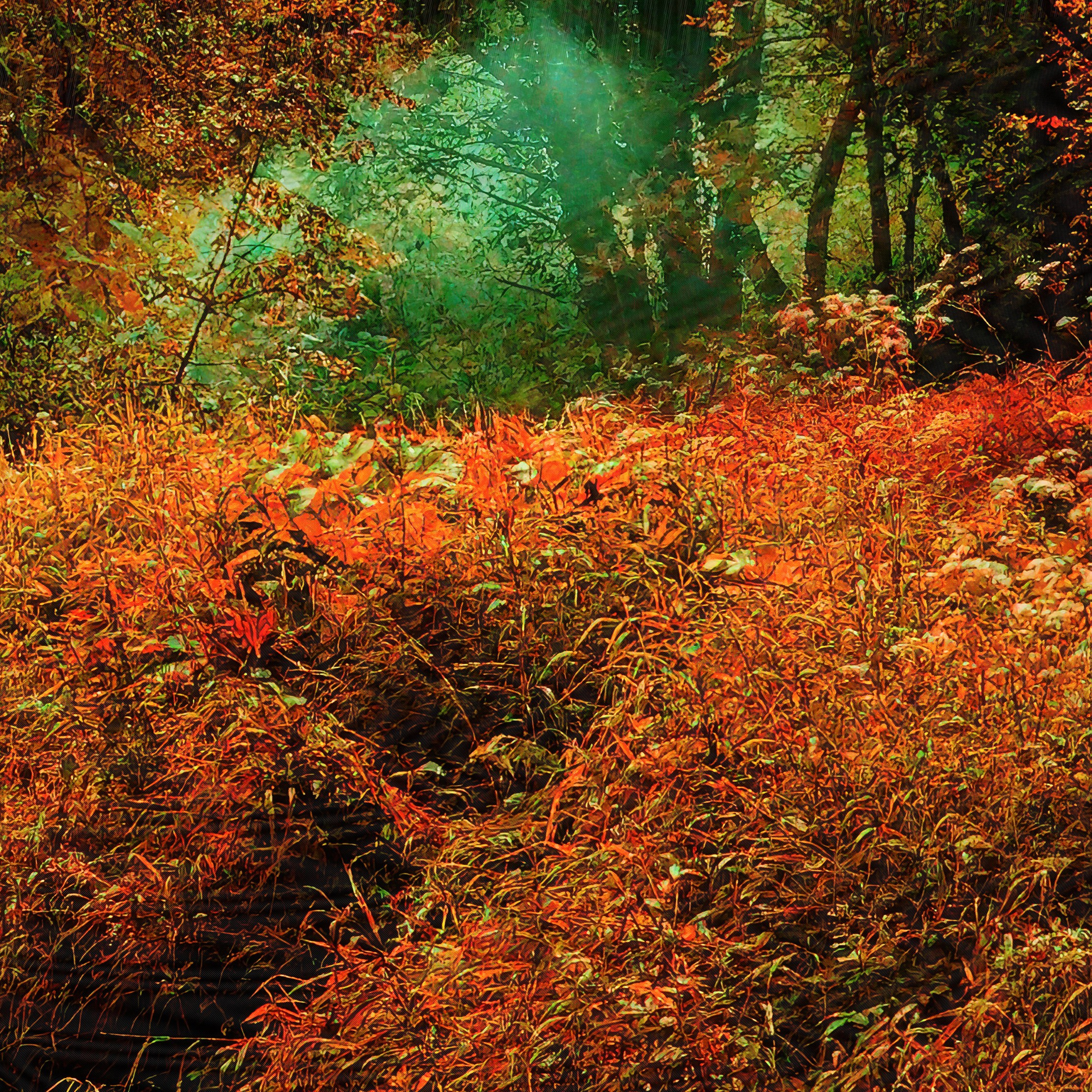 Додзё Красной Реки. Роман Ходырев — эзотериолог, художник, фотограф и музыкант. Санкт-Петербург, Рига