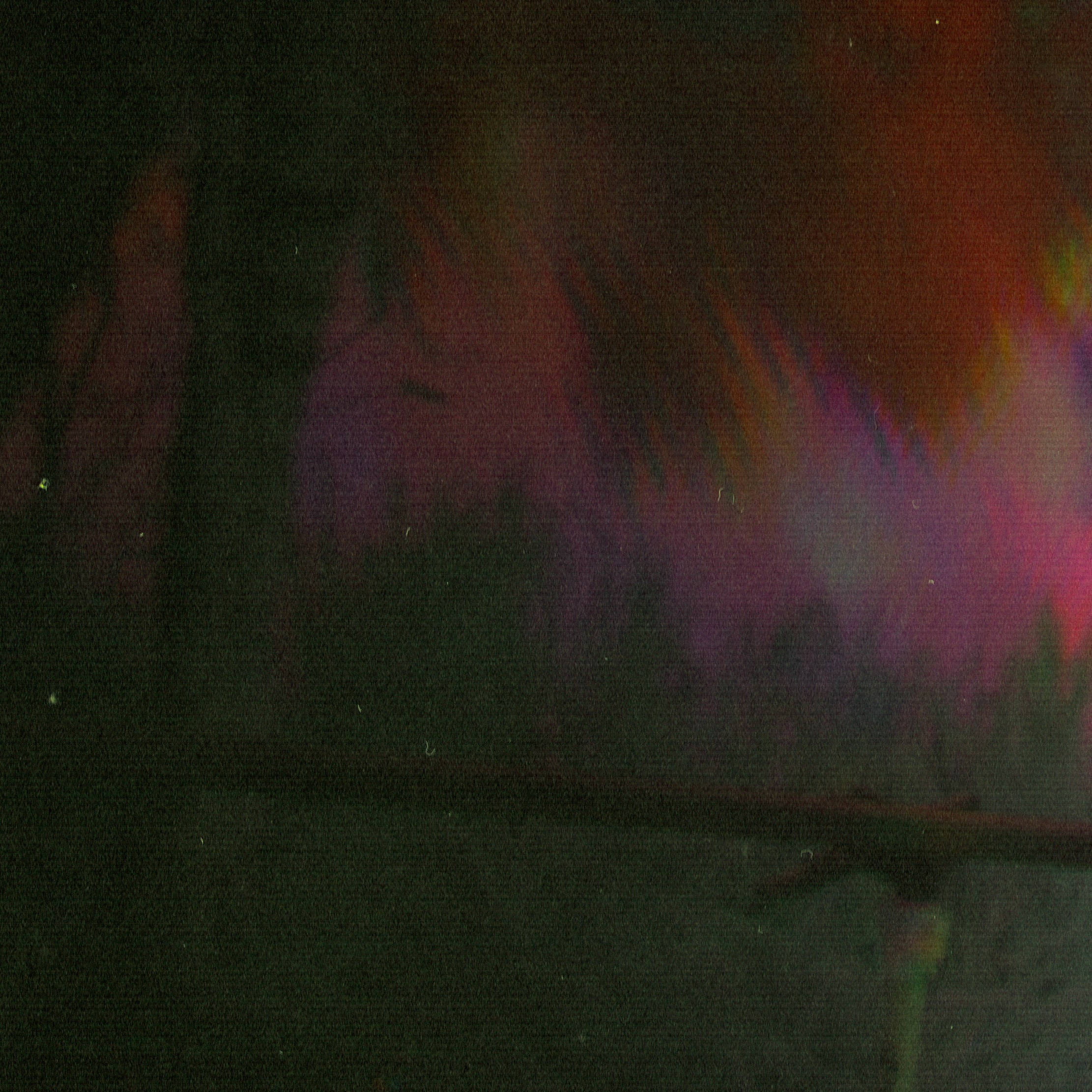 Мета-кони у Калинова моста. Роман Ходырев — эзотериолог, художник, фотограф и музыкант. Санкт-Петербург, Рига