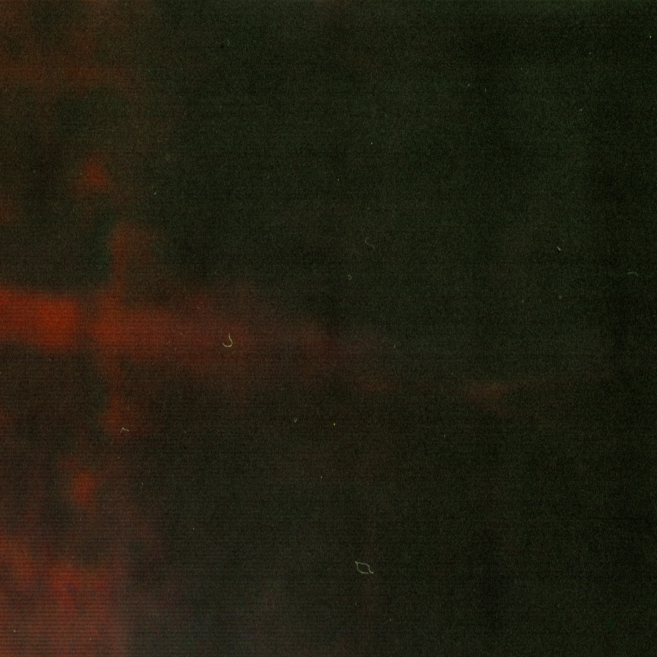 Мета-кони у Калинова моста. Роман Ходырев — эзотериолог, художник, фотограф и музыкант. Санкт-Петербург, Рига