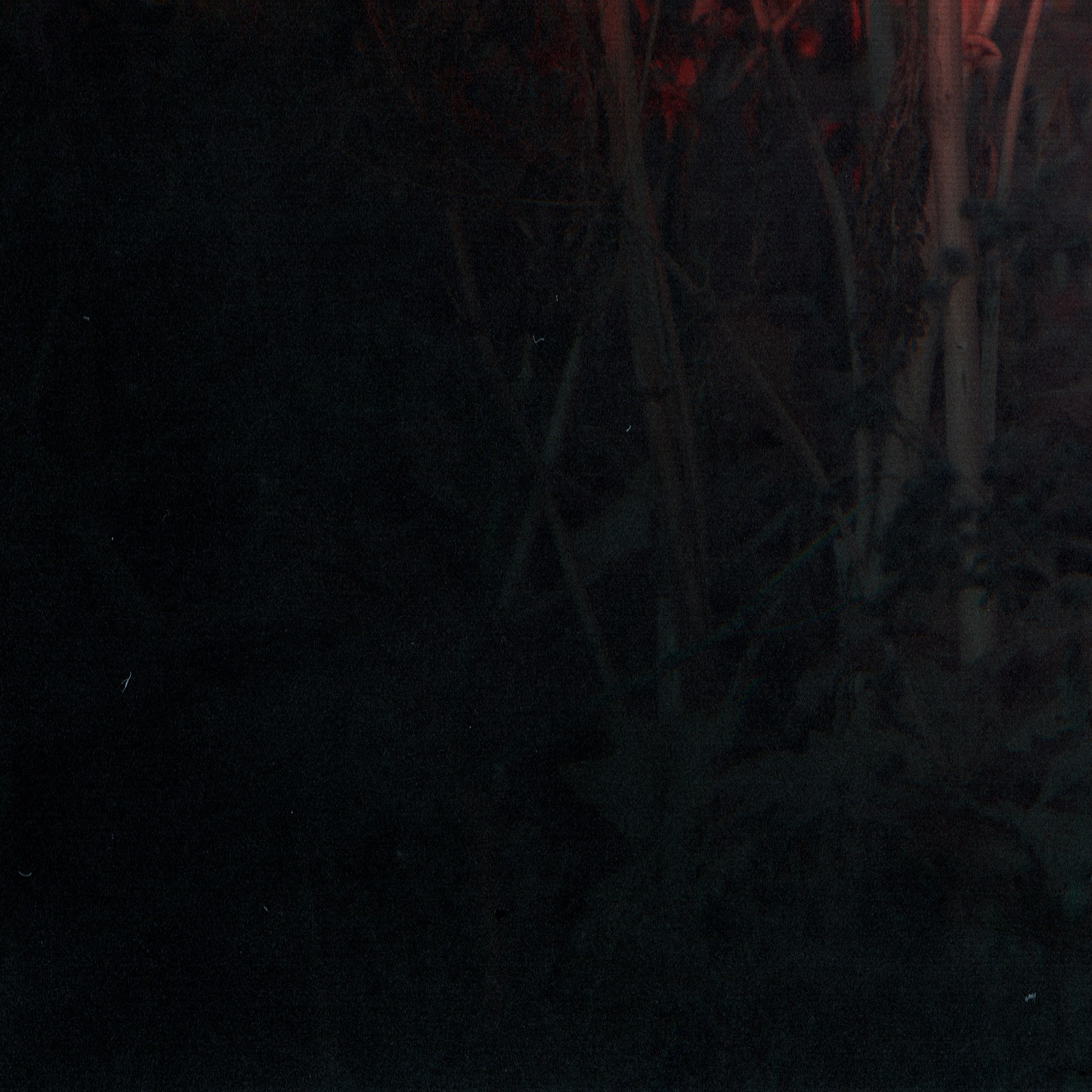 Фито-Войско (Борщевик). Роман Ходырев — эзотериолог, художник, фотограф и музыкант. Санкт-Петербург, Рига