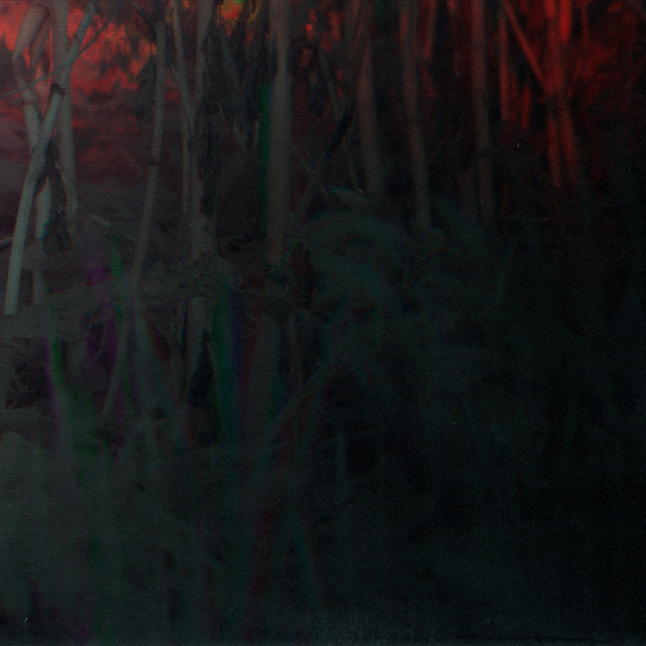 Фито-Войско (Борщевик). Роман Ходырев — эзотериолог, художник, фотограф и музыкант. Санкт-Петербург, Рига