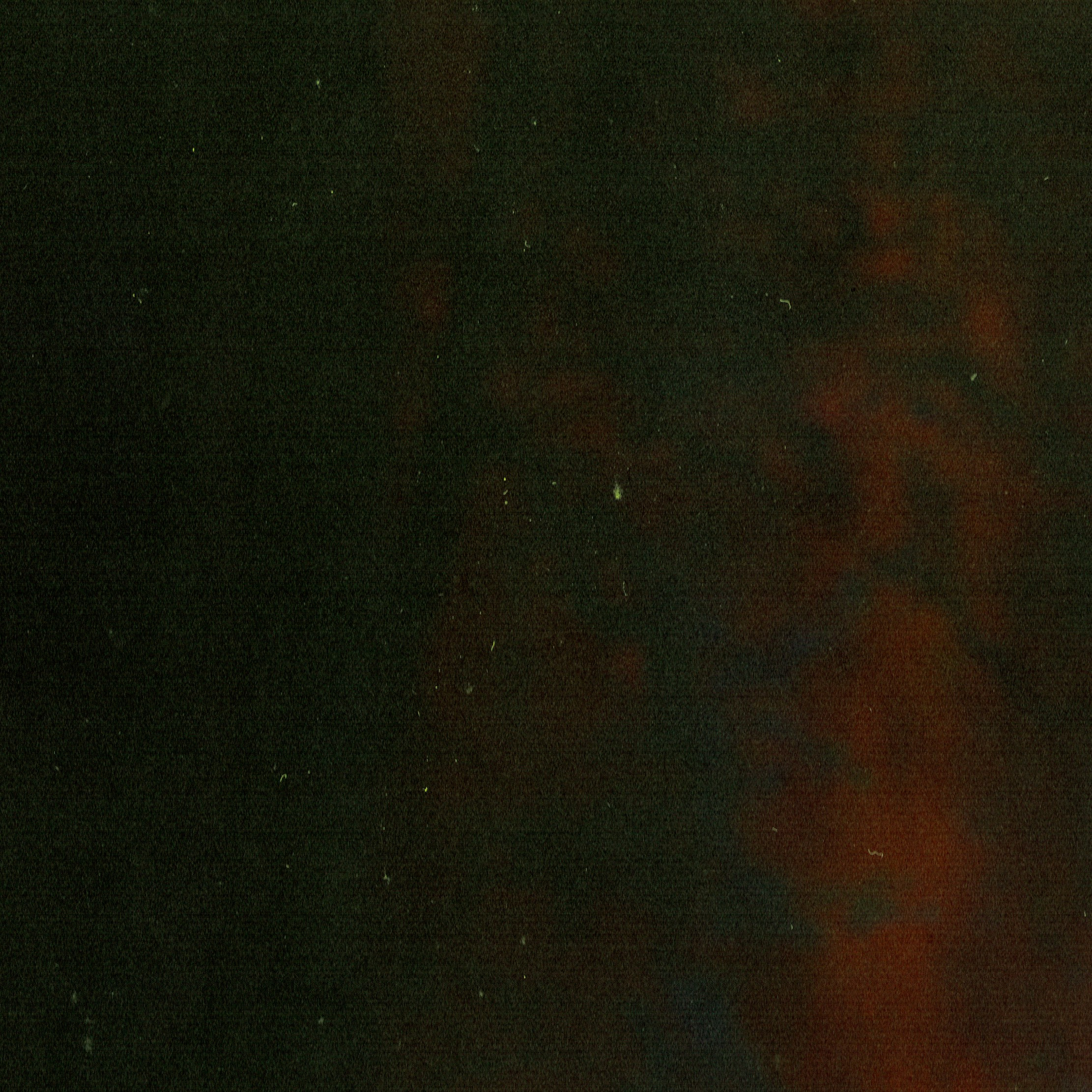 Мета-кони у Калинова моста. Роман Ходырев — эзотериолог, художник, фотограф и музыкант. Санкт-Петербург, Рига