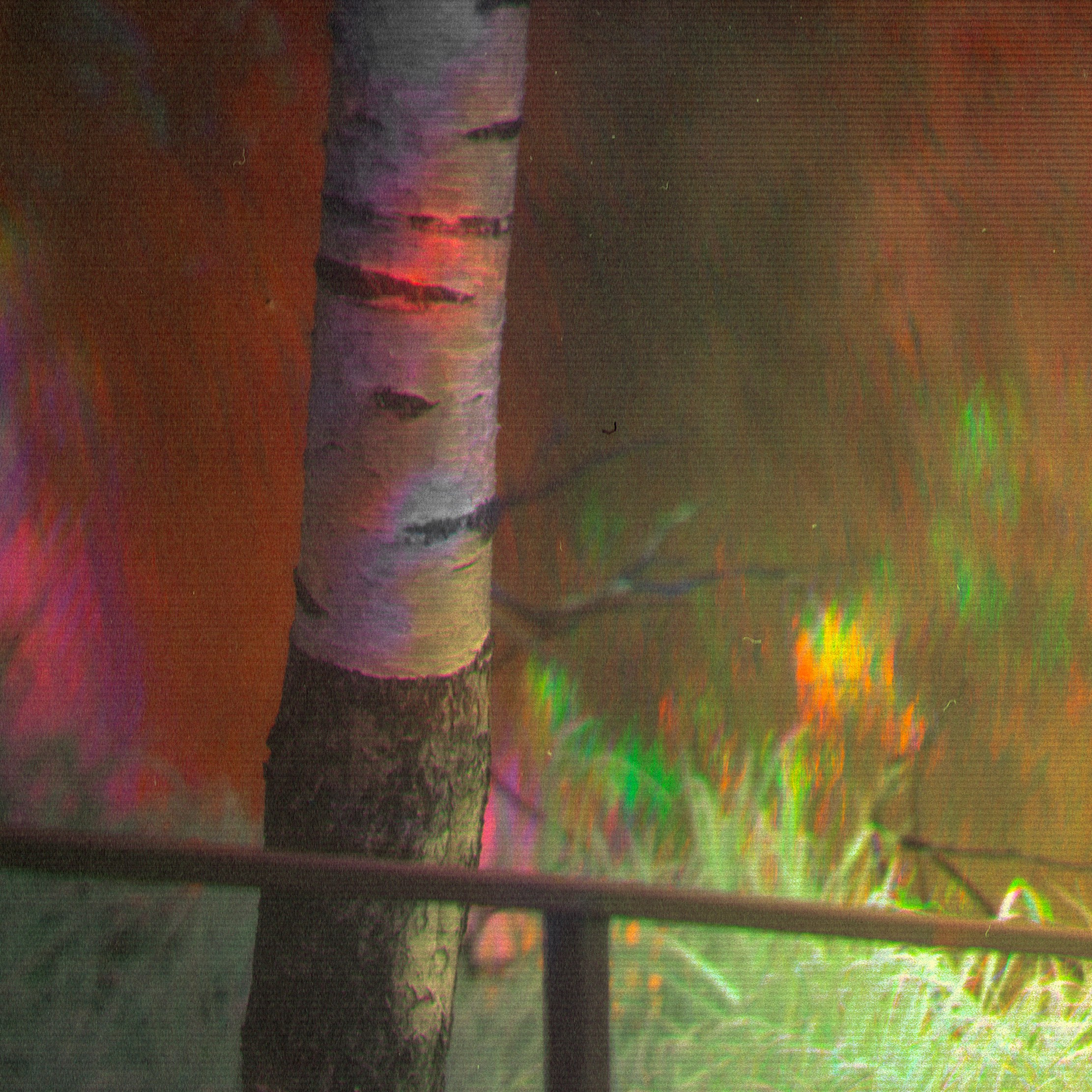 Мета-кони у Калинова моста. Роман Ходырев — эзотериолог, художник, фотограф и музыкант. Санкт-Петербург, Рига