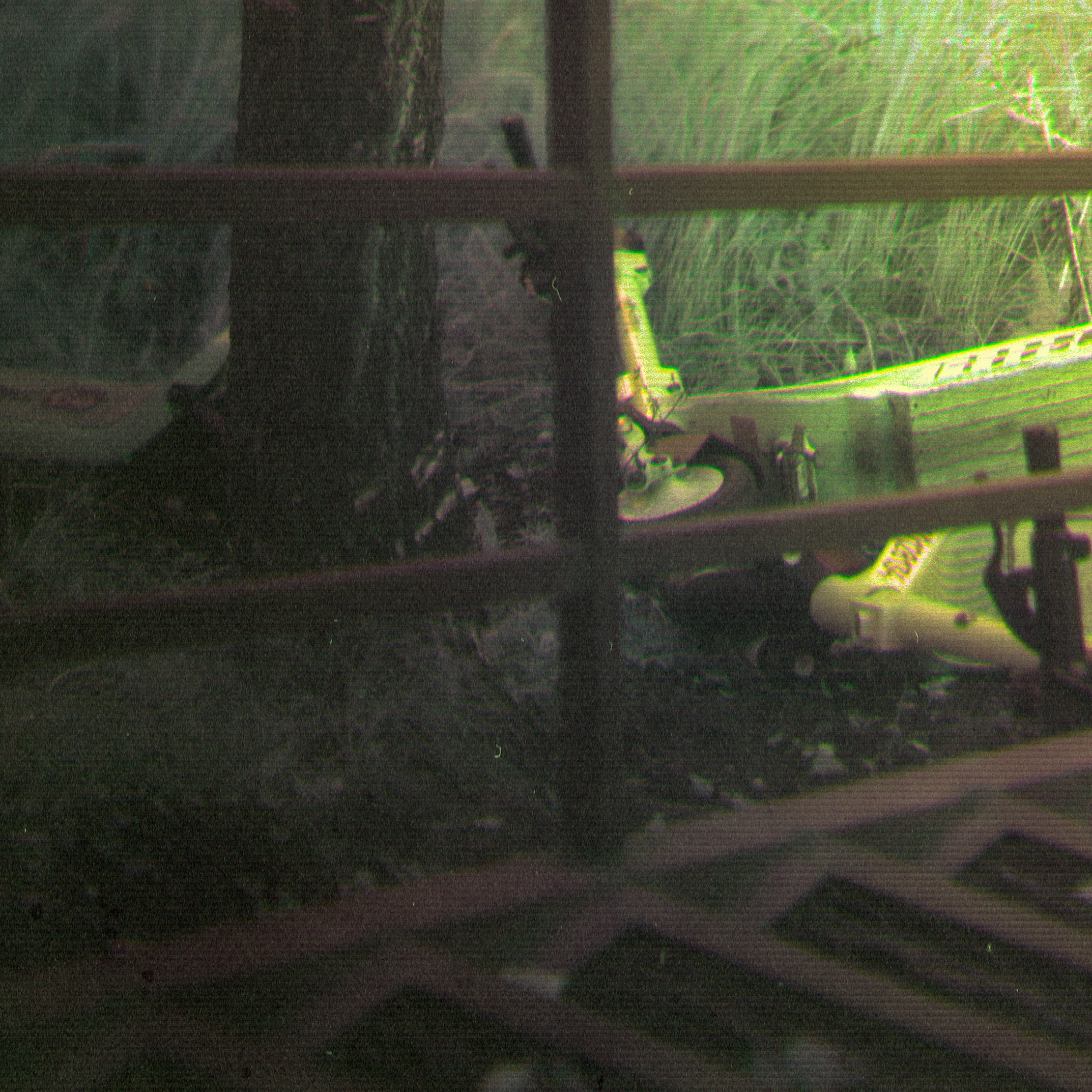 Мета-кони у Калинова моста. Роман Ходырев — эзотериолог, художник, фотограф и музыкант. Санкт-Петербург, Рига