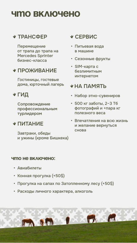 Программа тура. Детский и семейный фотограф