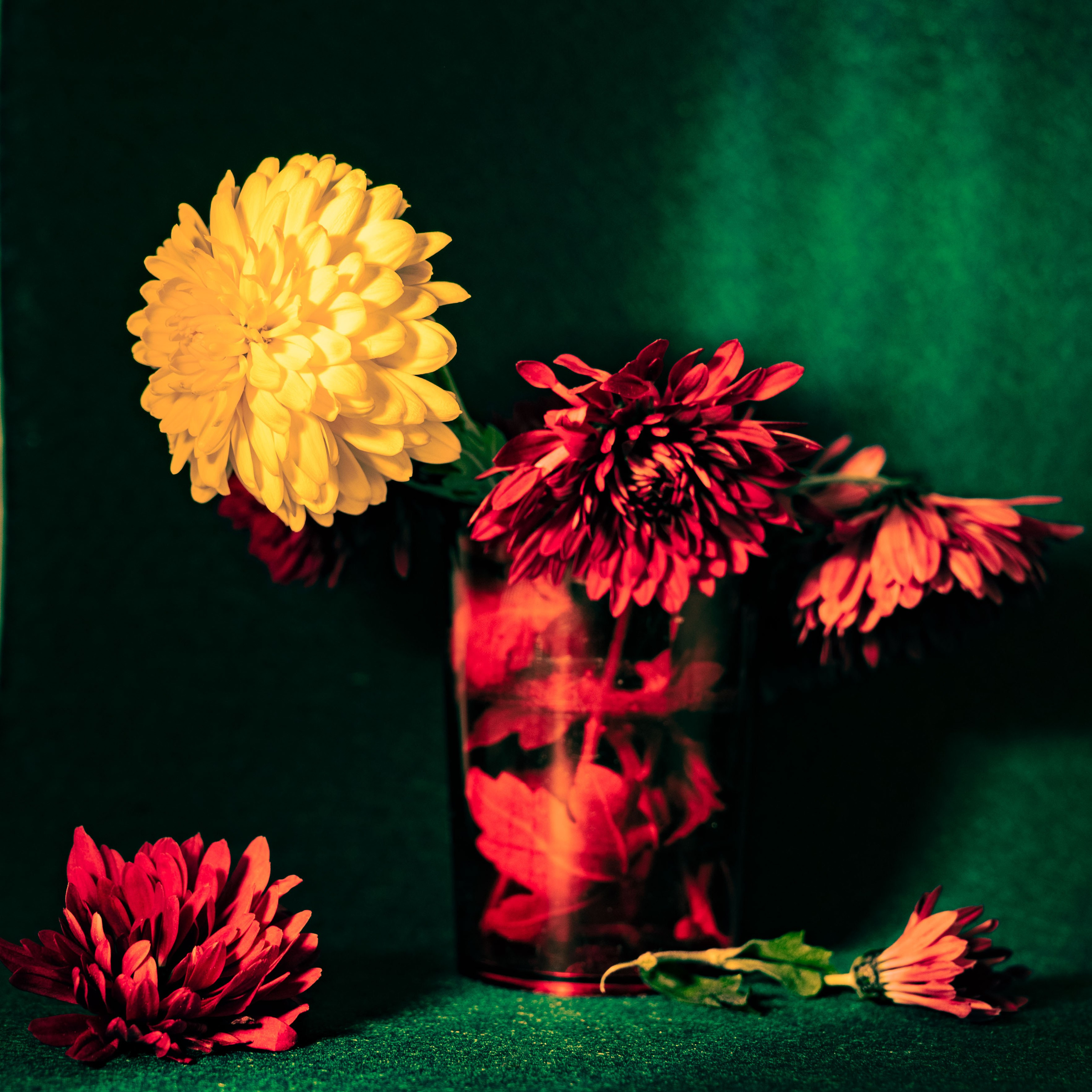 Услуги. Главная