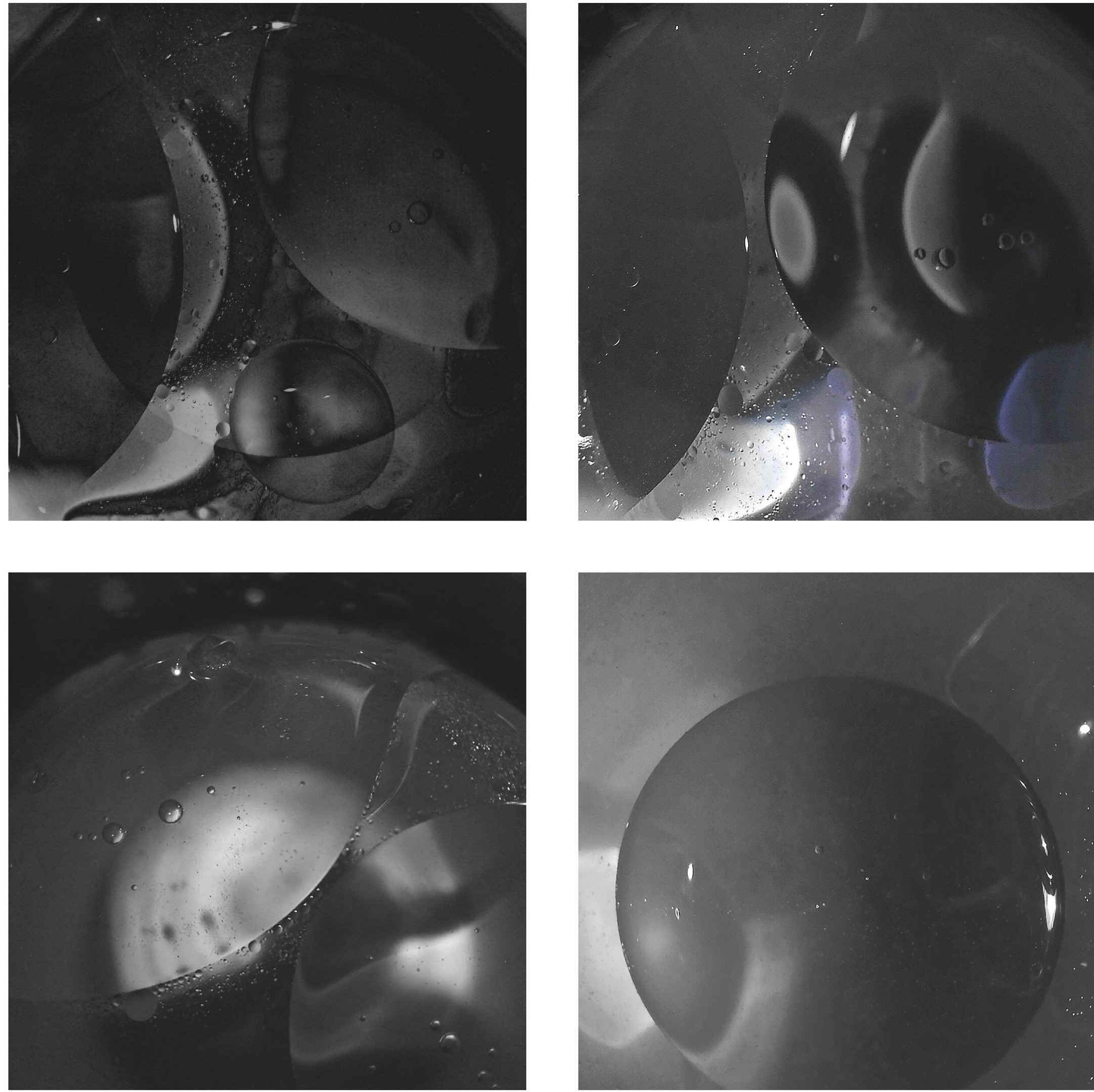 Дмитриева Дарья. ARTEXPOPHOTO