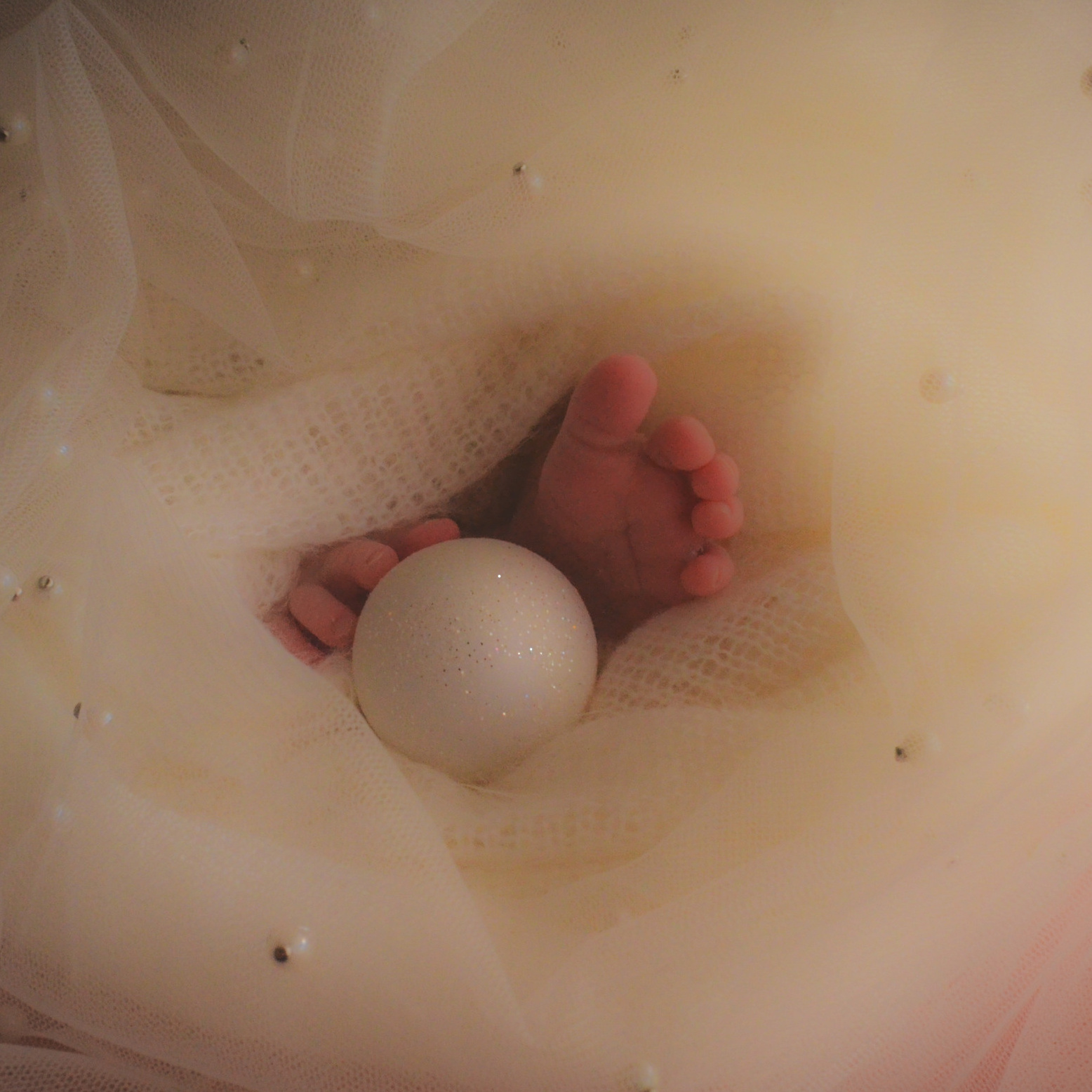 Контакты. Photograper Israel/фотограф Израиль. ALINA TARAN