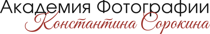 sorokin-academy.ru