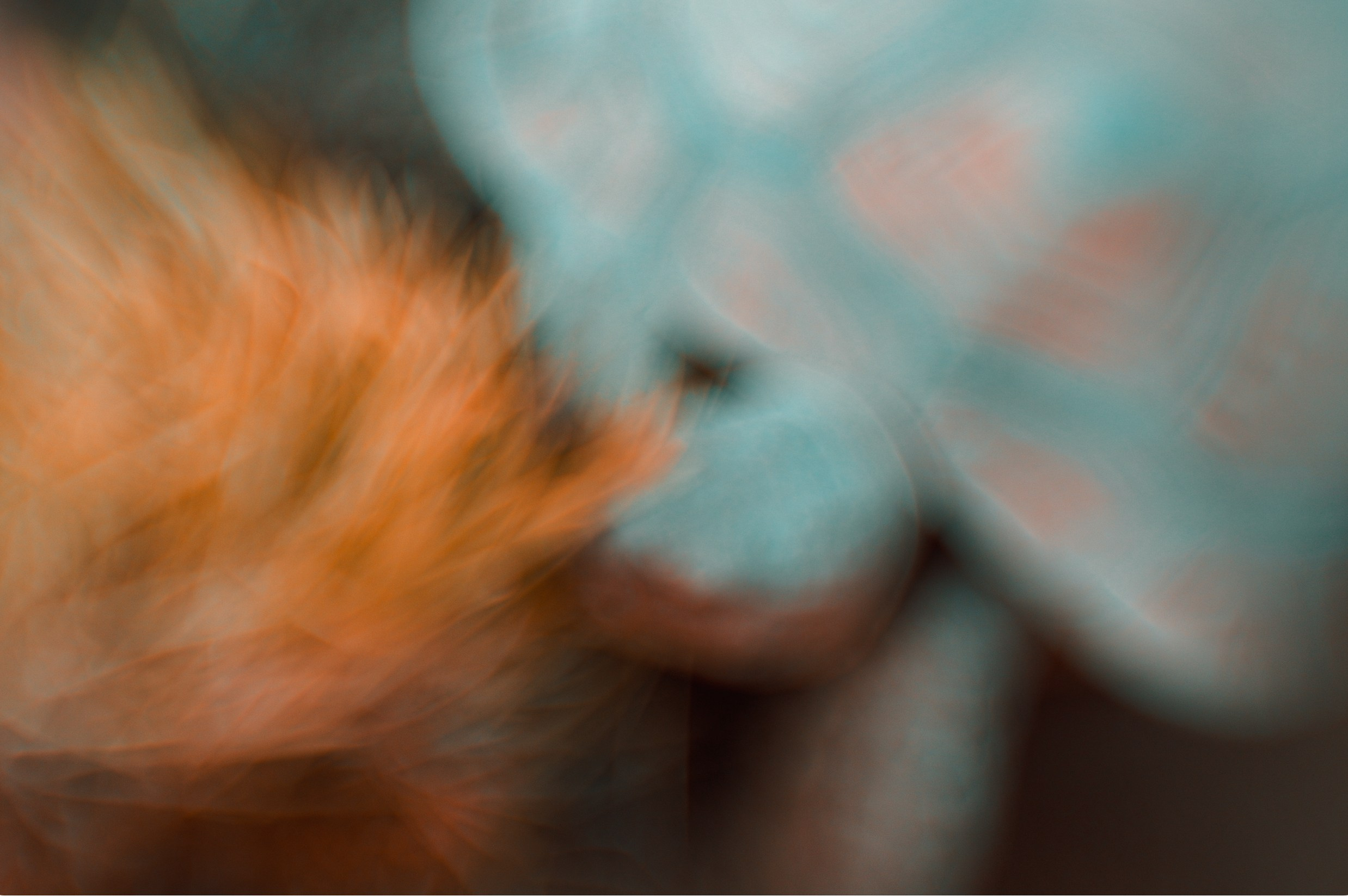 ART BEYOND REASON. International visual artist