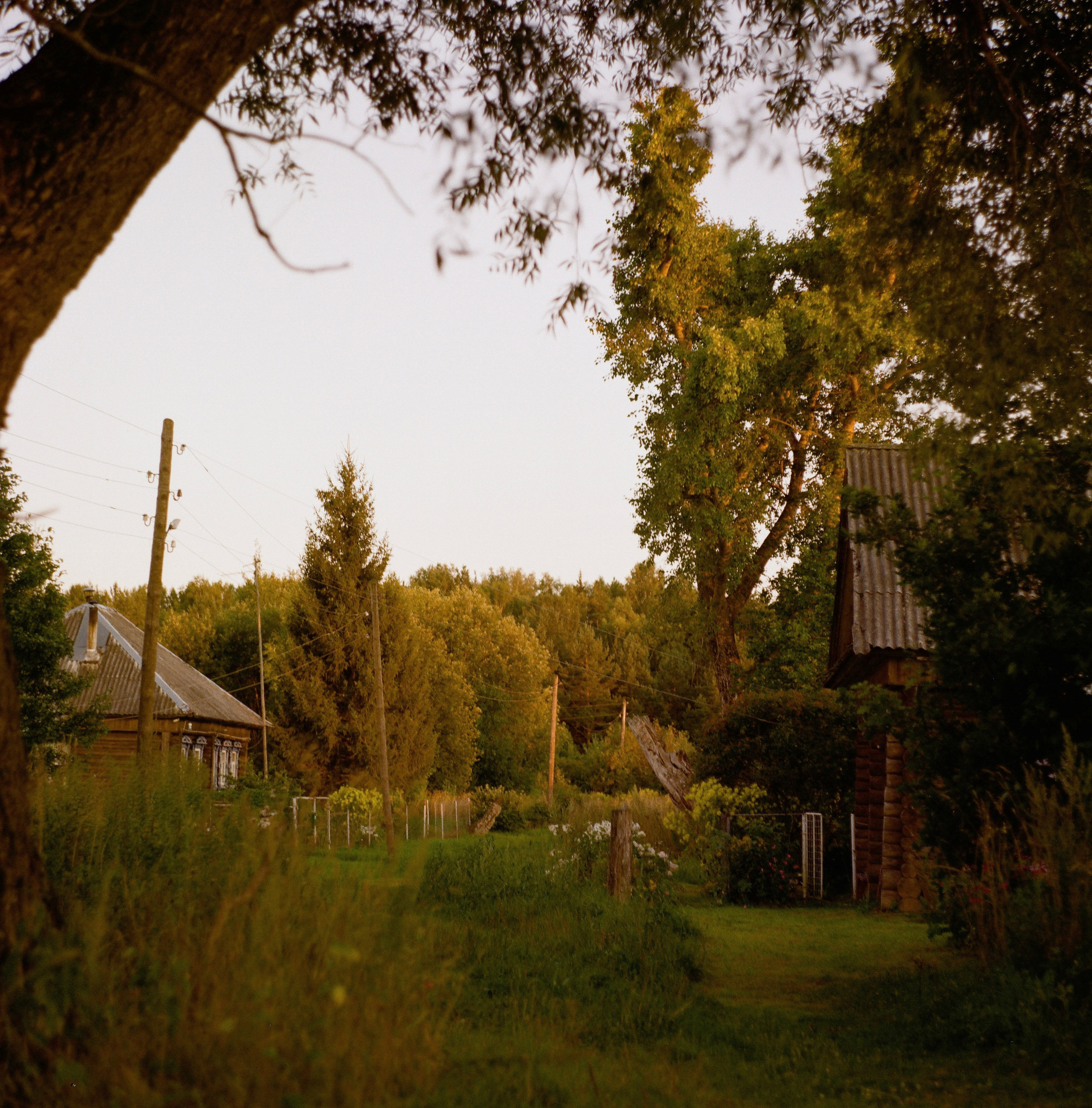 Aksenovo. Photographer Dima Sharov | Фотограф Дима Шаров
