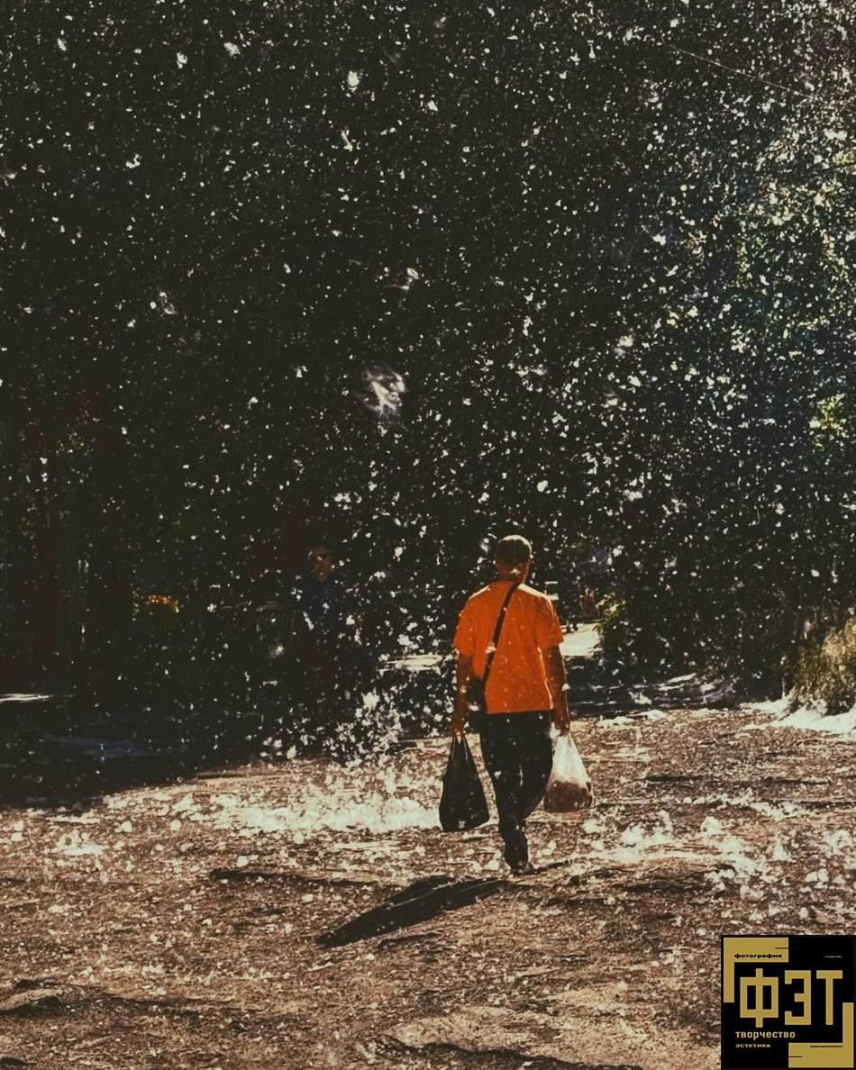 Выбор зрителей 23.11.25