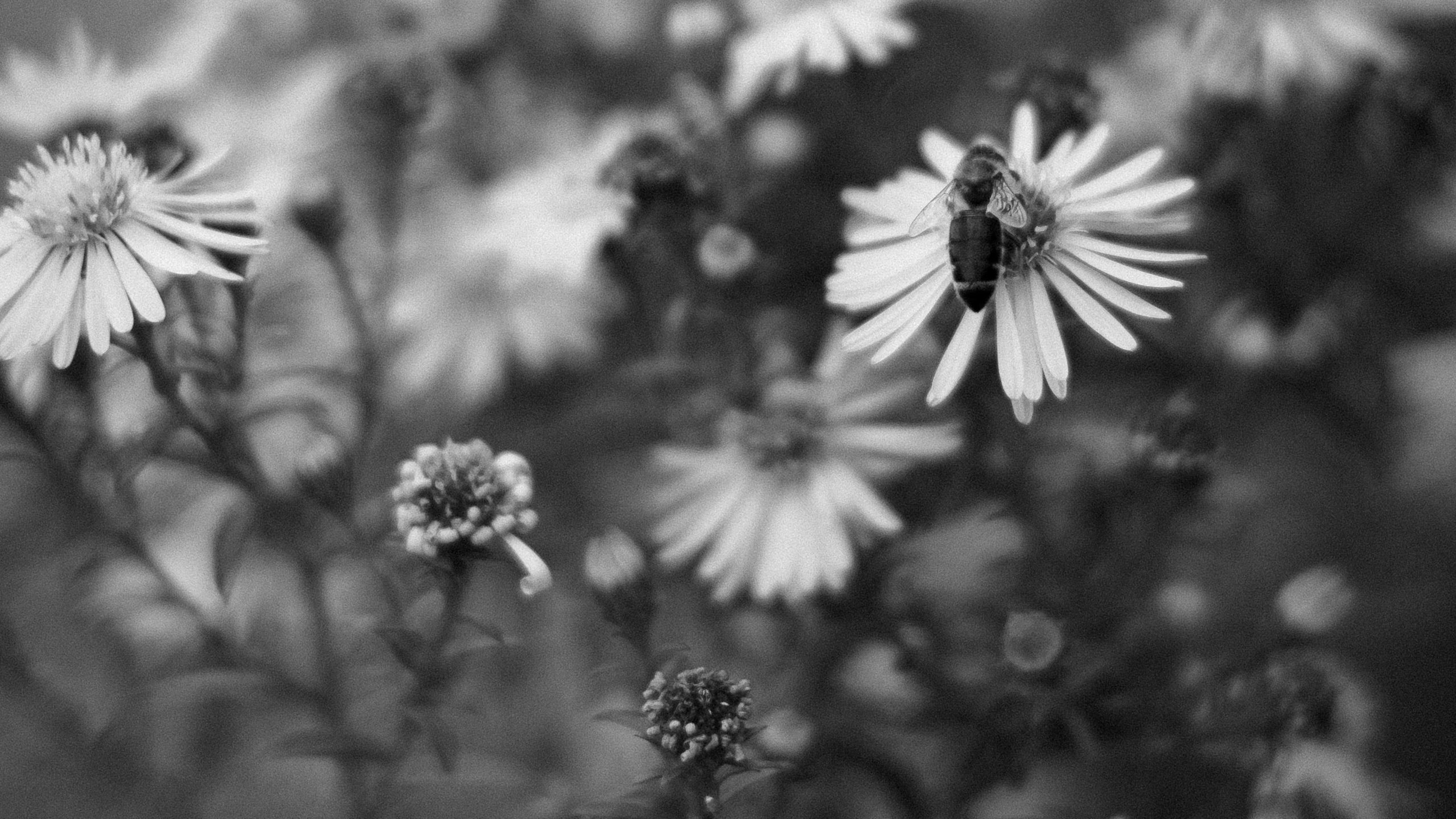 Обо мне. Anastasia N | Фотограф Челябинск