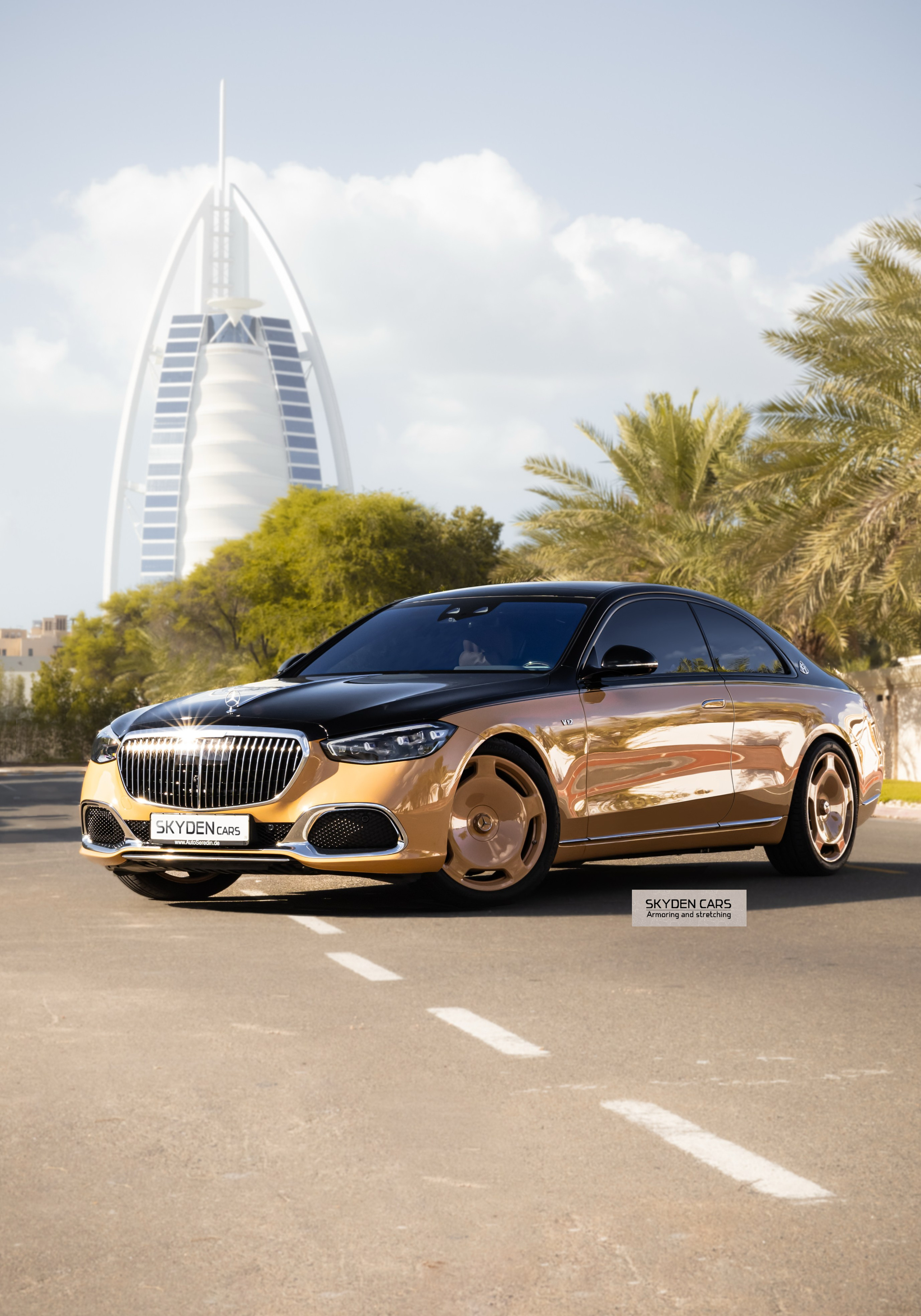 Skyden Cars