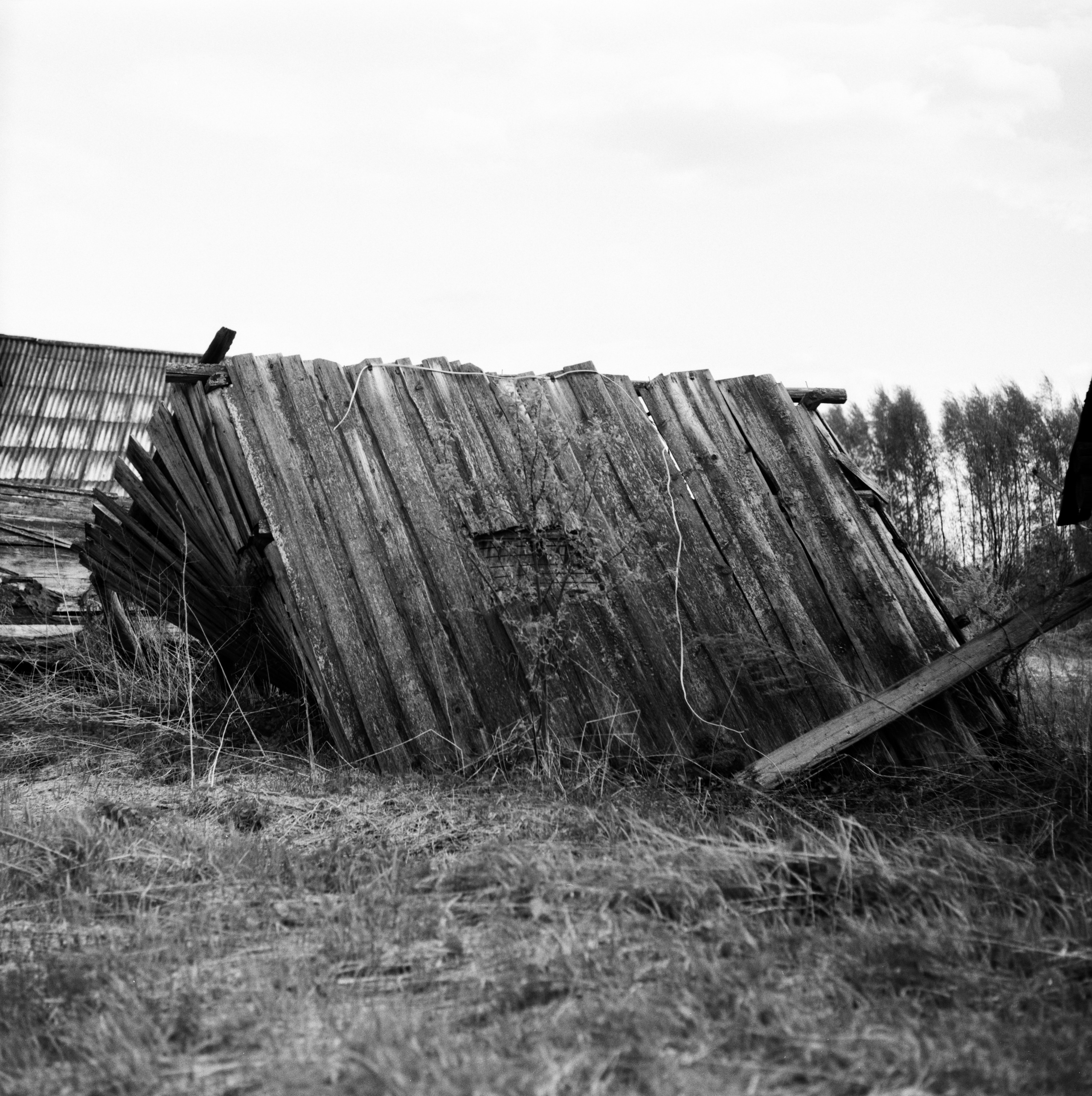 Aksenovo. Photographer Dima Sharov | Фотограф Дима Шаров