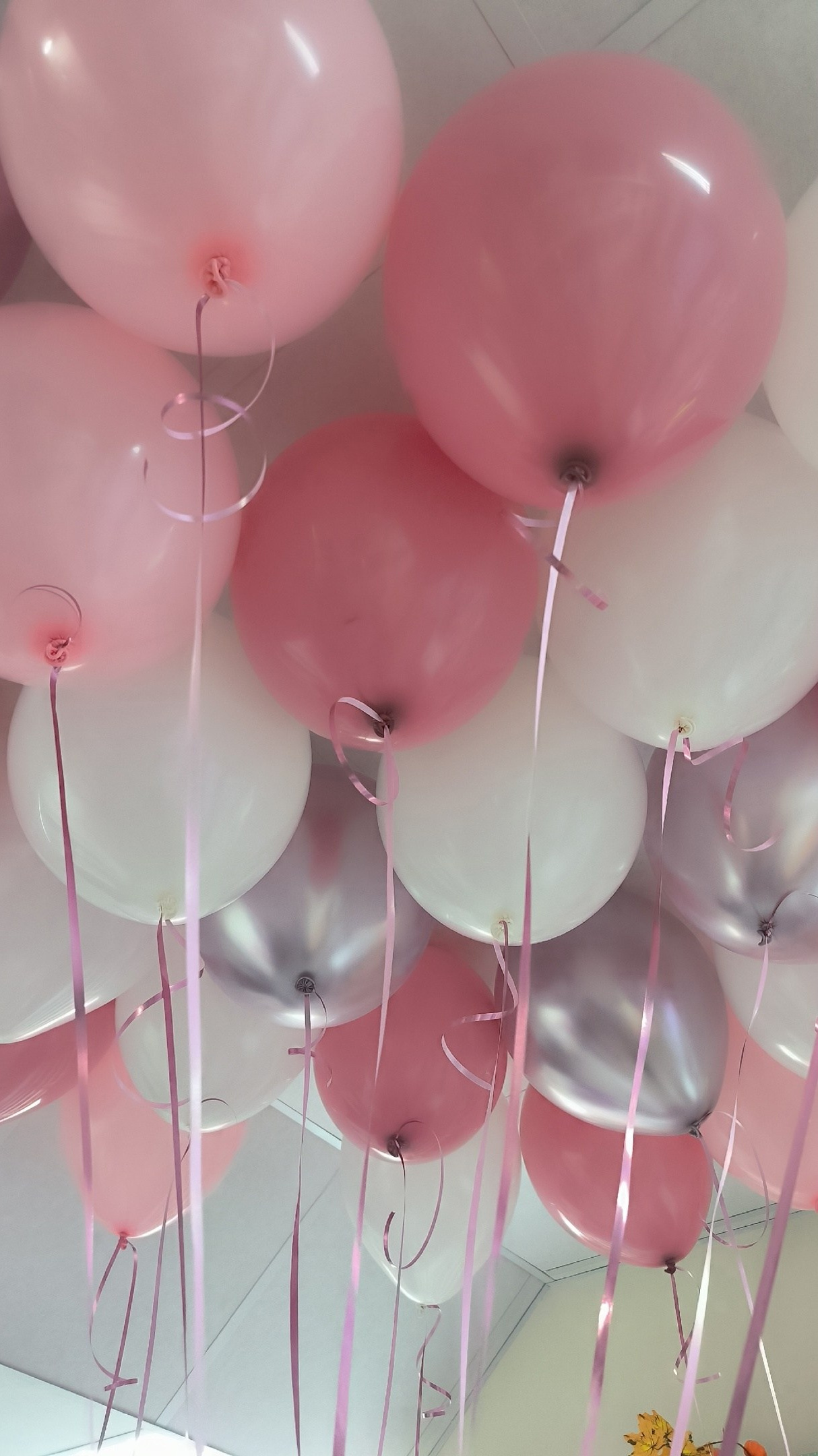 Шары в потолок. Организация мероприятий «Мир праздника Балу»