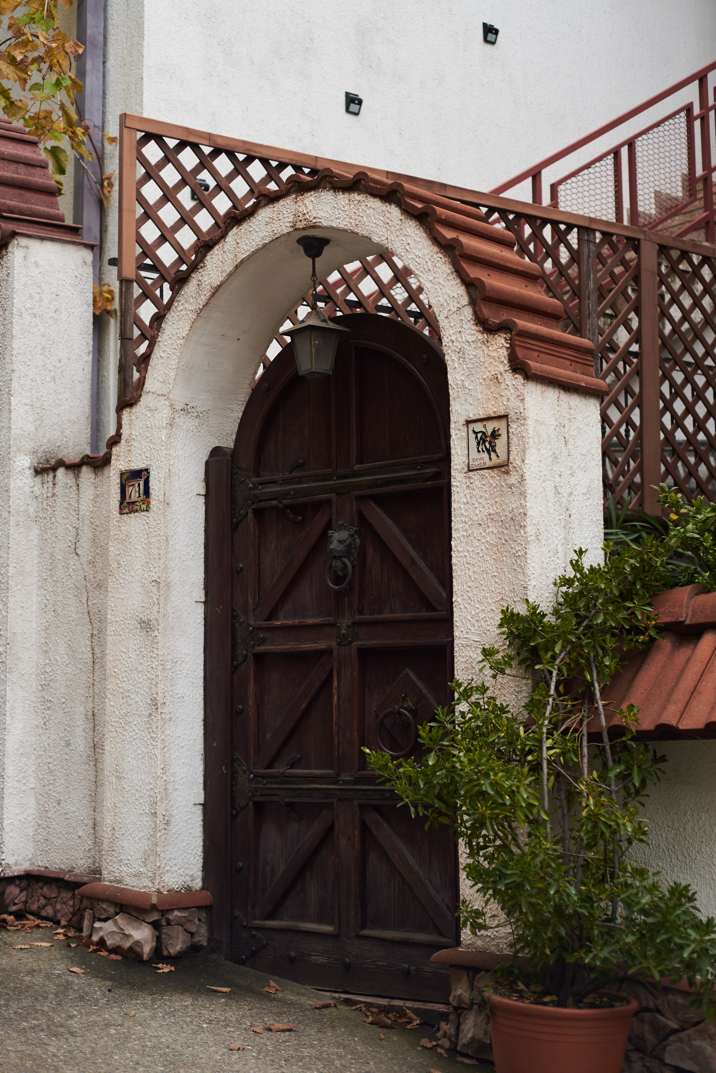 Красивые места для фотосессии в Сочи, Адлере, Красной поляне. Фотограф для женщин и мужчин, контента для бизнеса в Сочи, Адлере, Красной поляне, Розе Хутор