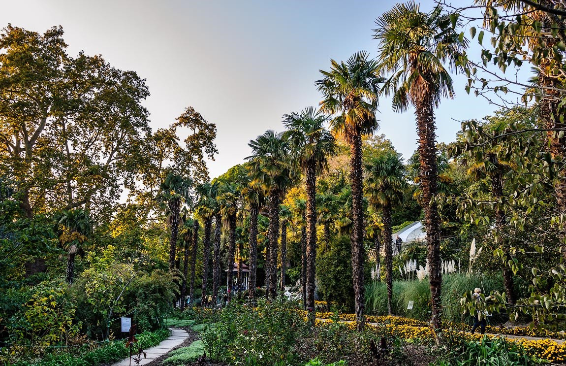 Локации для съёмок. Таучелов Сергей. Фотограф, Видеограф, Видеооператор в Симферополе