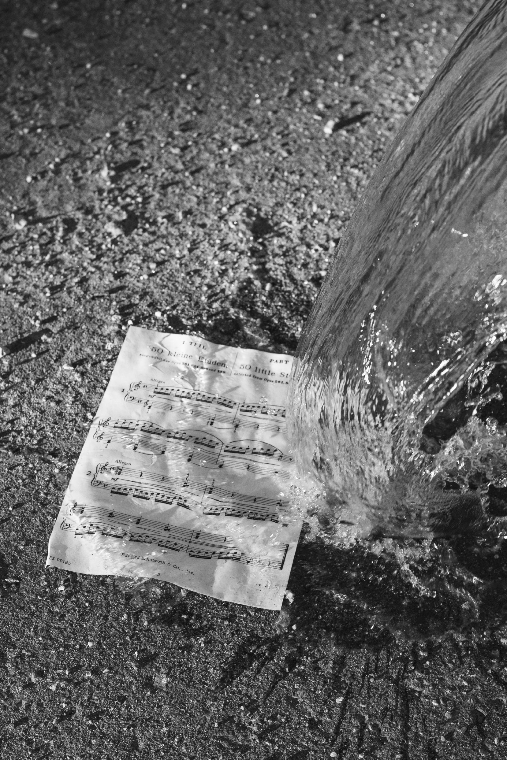 Екатерина Федорова «Кто сказал, что будет легко». Самоорганизация Низина