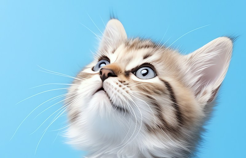 Оффер. Главная