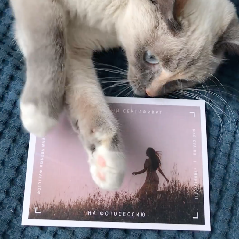 Стоимость. Фотографии с любовью