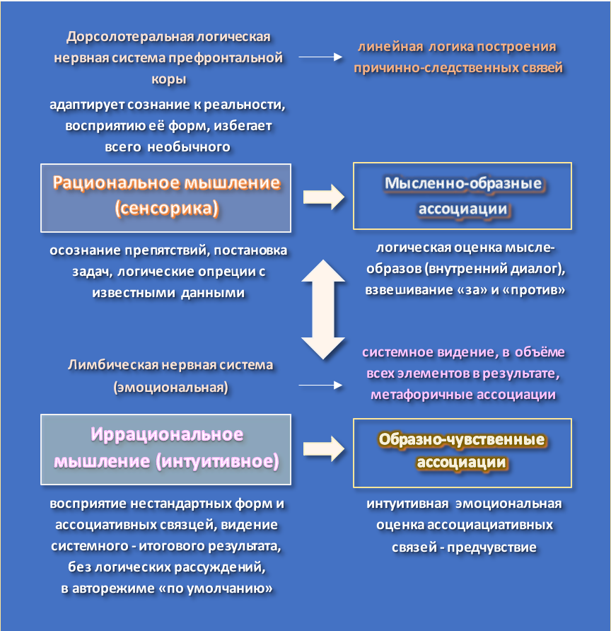 Самопроизвольные мысли и творческое предвидение в изменённом состоянии сознания. Гид и фотограф в Валенсии Новиков Михаил
