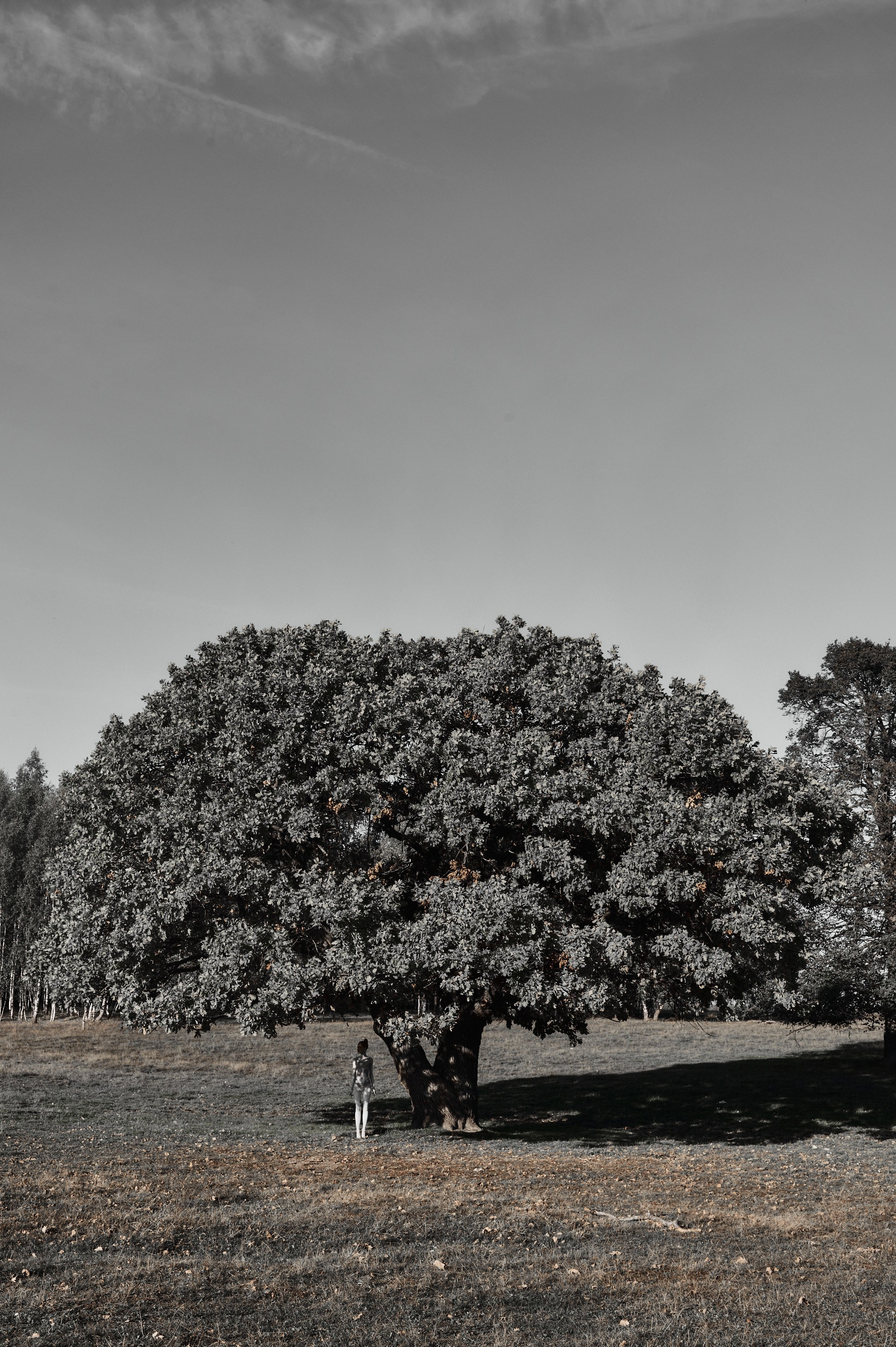 Фотопоказ «Каркас». Коммерческий фотограф в Казани Ксения Добролюбова