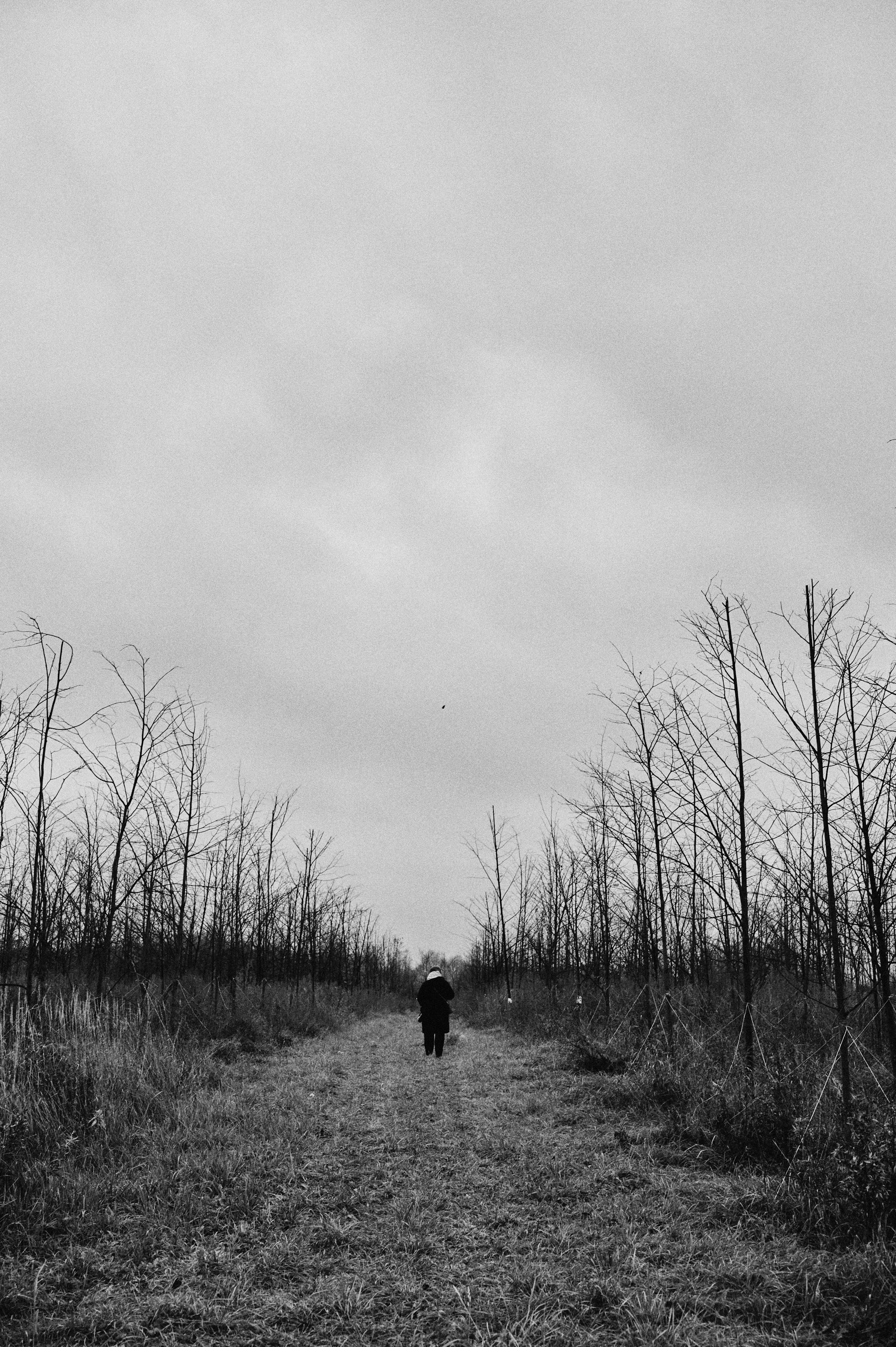 Перформанс «Лес мыслей». Коммерческий фотограф в Казани Ксения Добролюбова