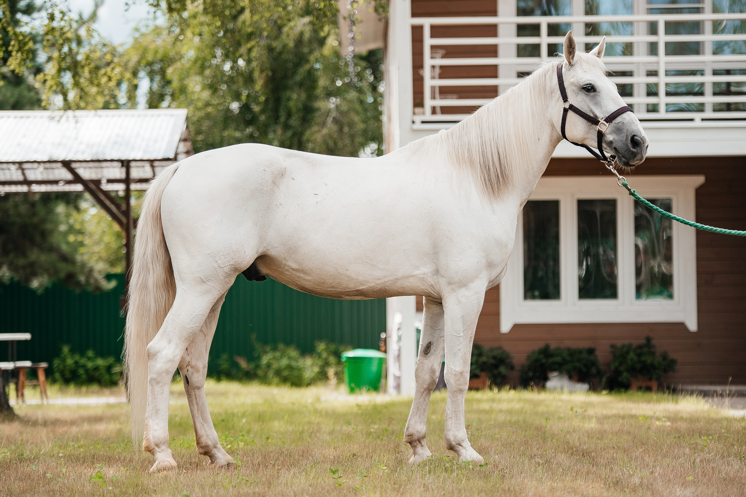 Фотосессия. Фотограф Рязань